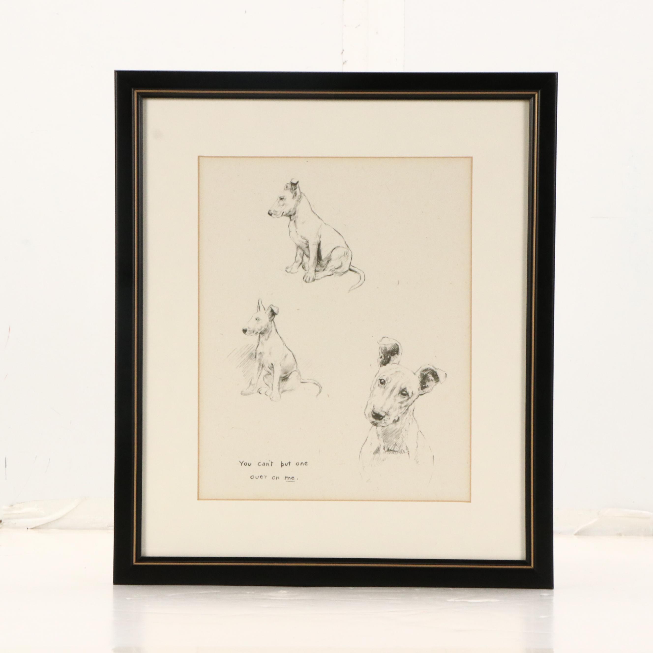 Offset Lithograph and Halftone Illustrations of Bull Terriers, 20th Century