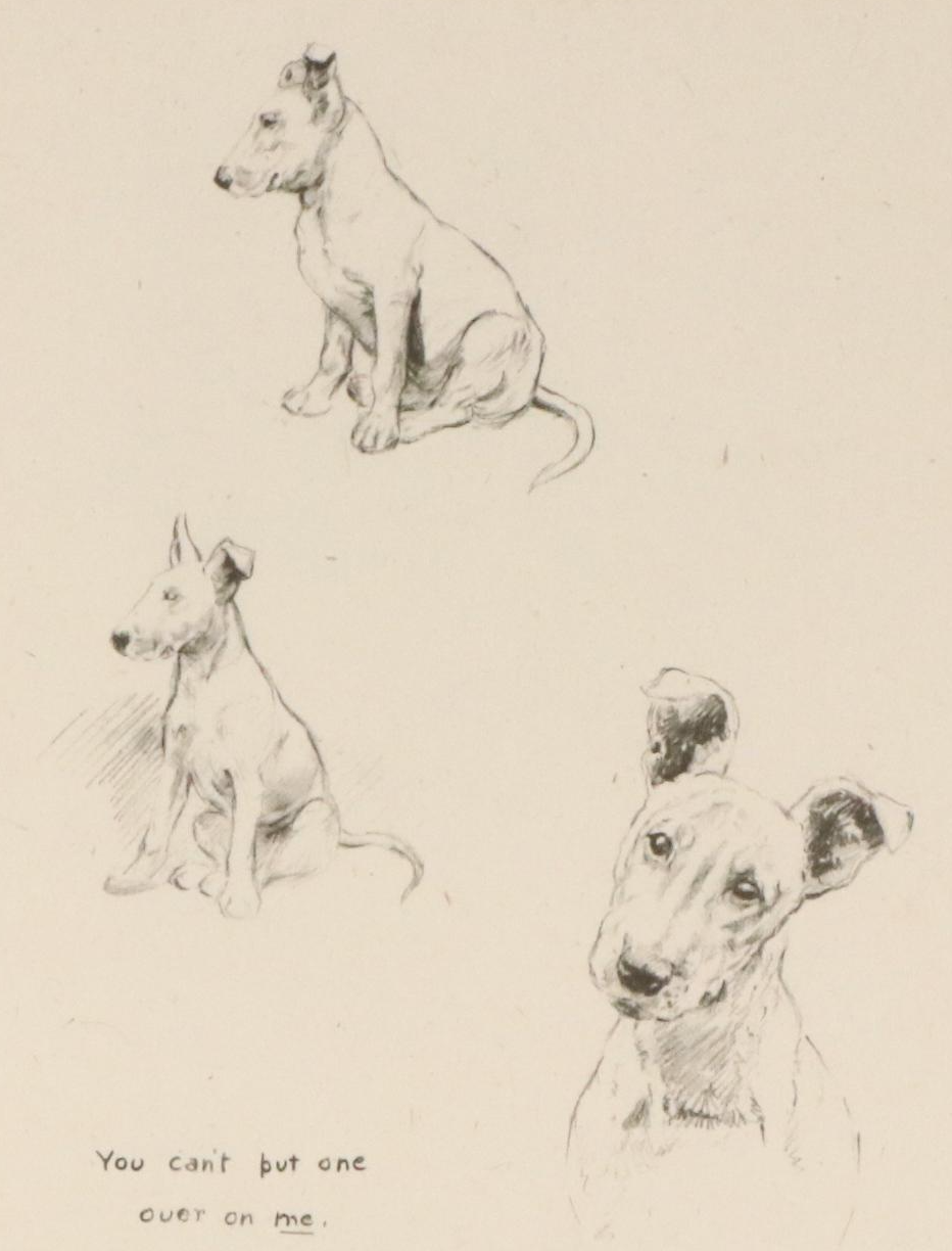 Offset Lithograph and Halftone Illustrations of Bull Terriers, 20th Century