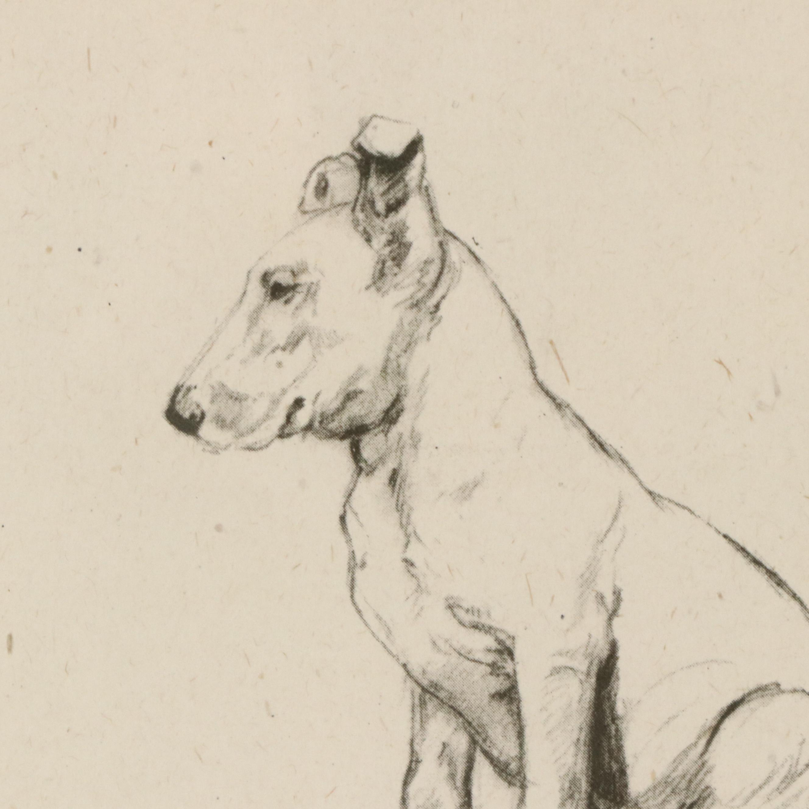 Offset Lithograph and Halftone Illustrations of Bull Terriers, 20th Century