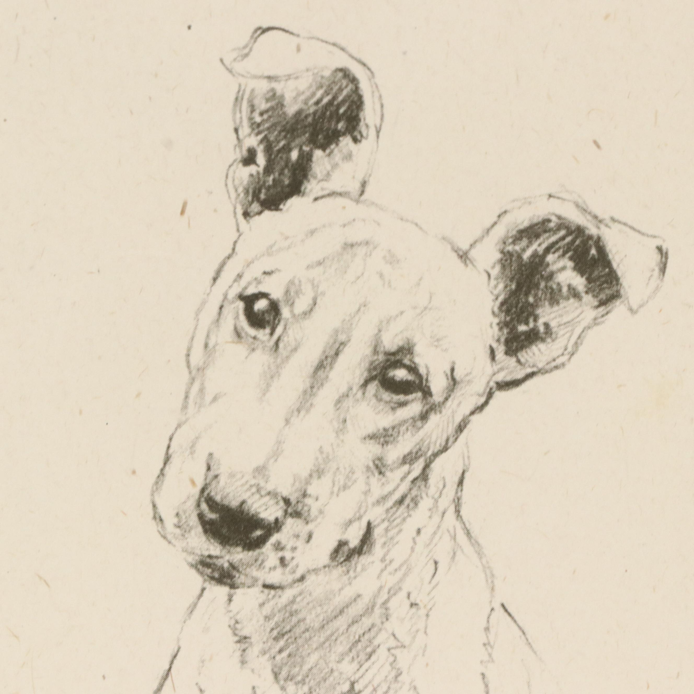 Offset Lithograph and Halftone Illustrations of Bull Terriers, 20th Century