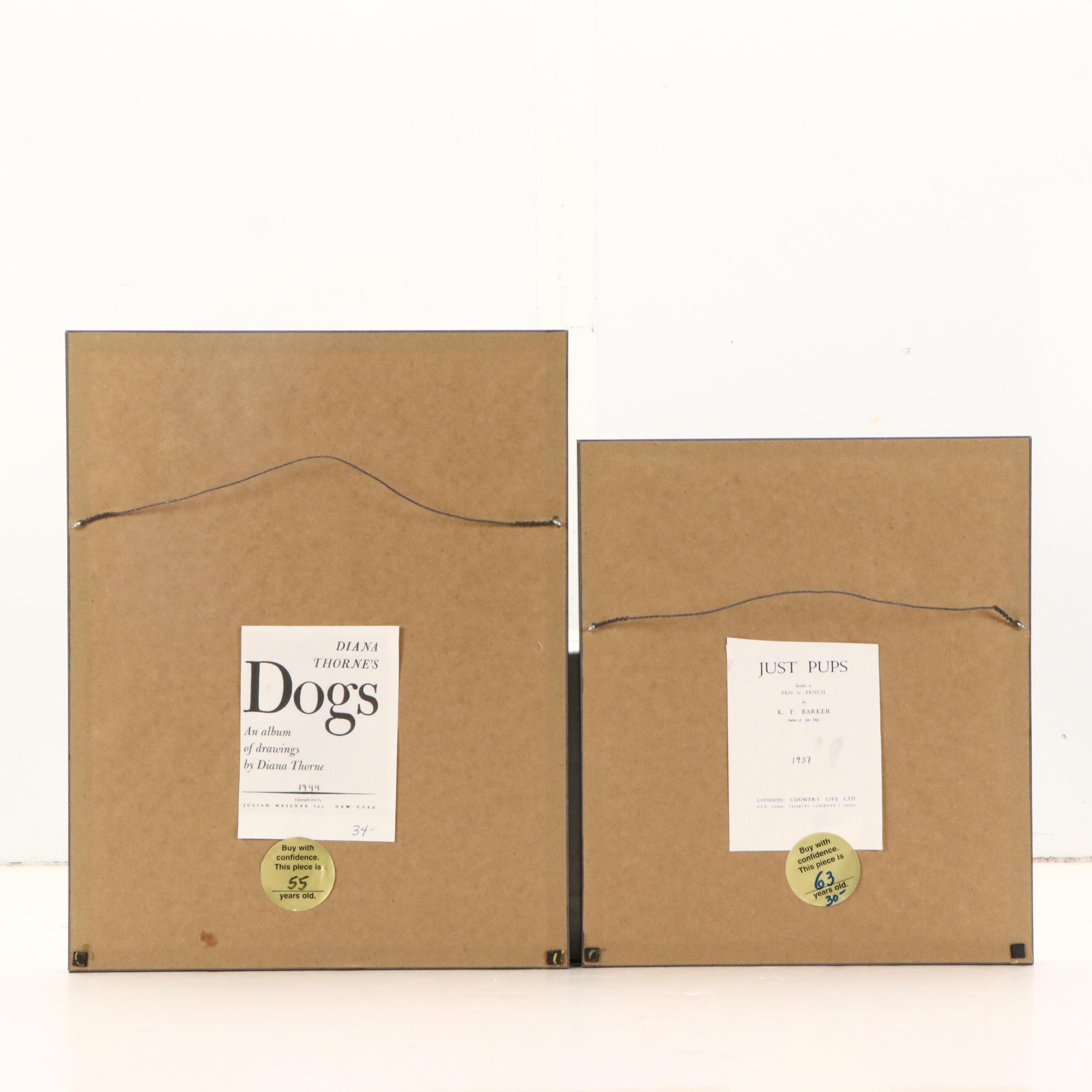 Offset Lithograph and Halftone Illustrations of Bull Terriers, 20th Century