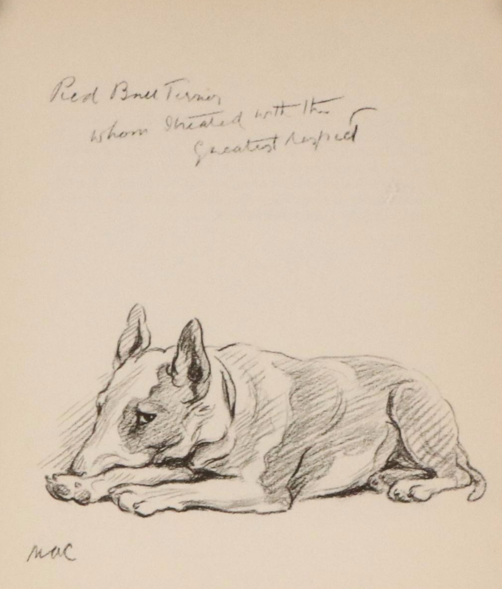 Offset Lithograph and Halftone Illustrations of Bull Terriers, 20th Century