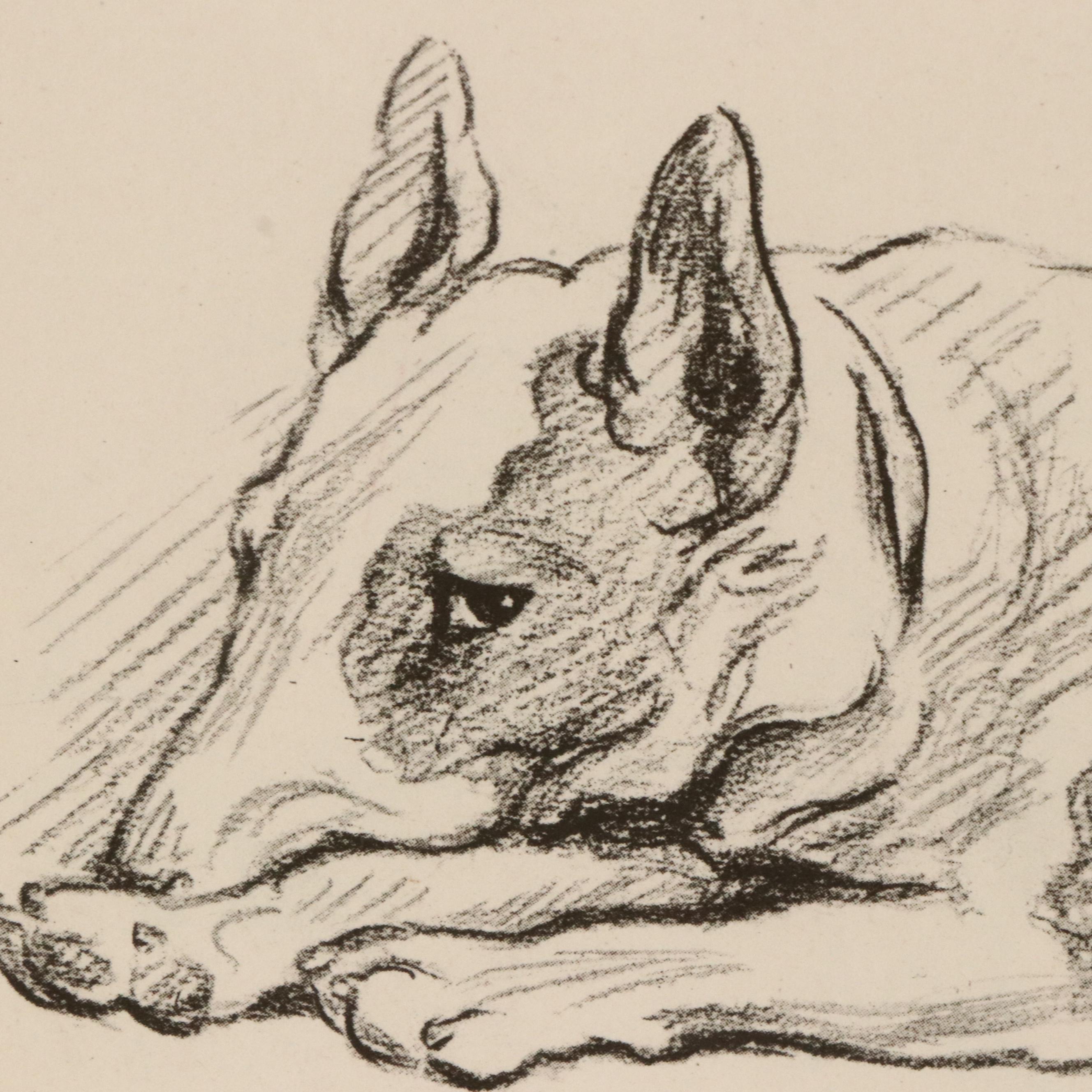 Offset Lithograph and Halftone Illustrations of Bull Terriers, 20th Century