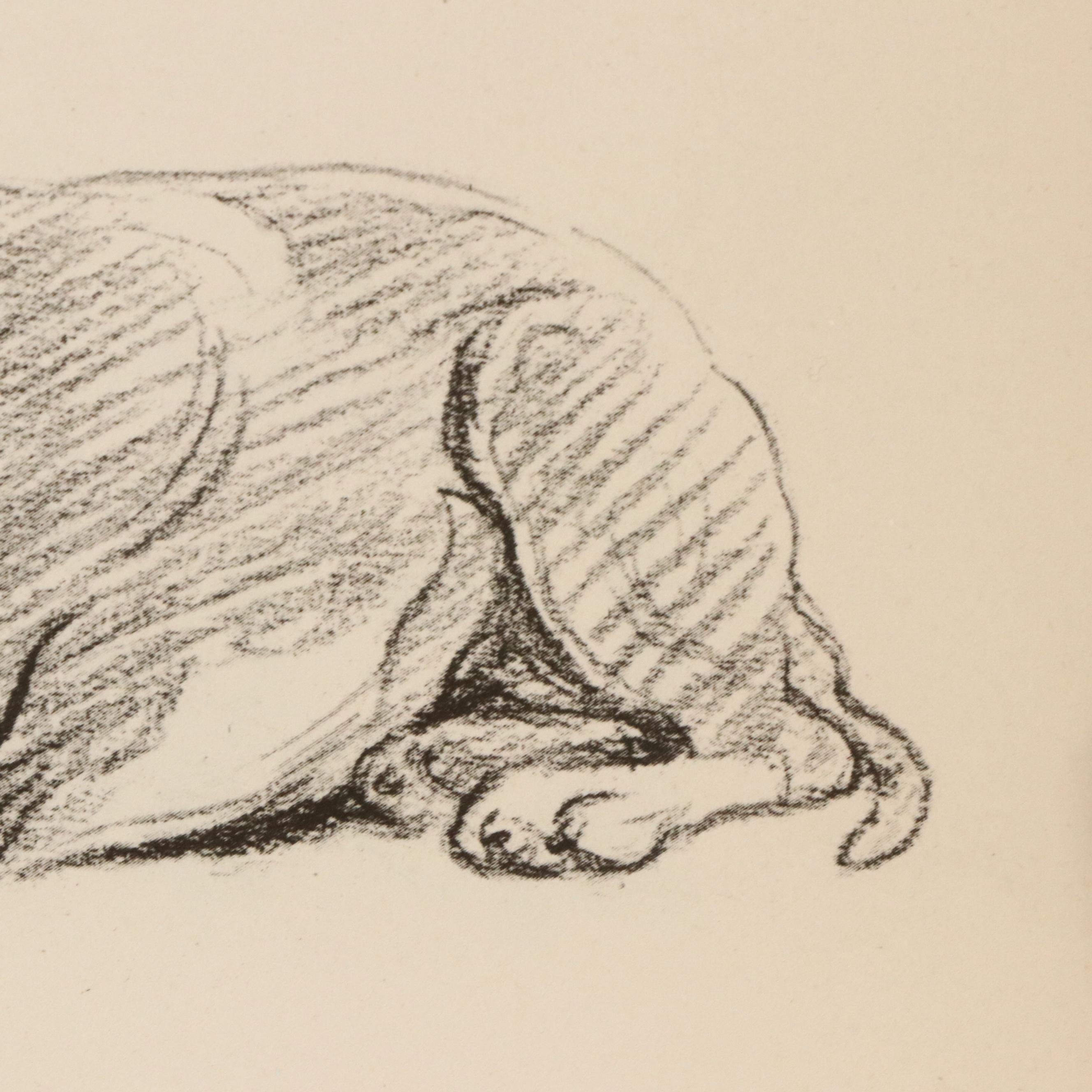 Offset Lithograph and Halftone Illustrations of Bull Terriers, 20th Century