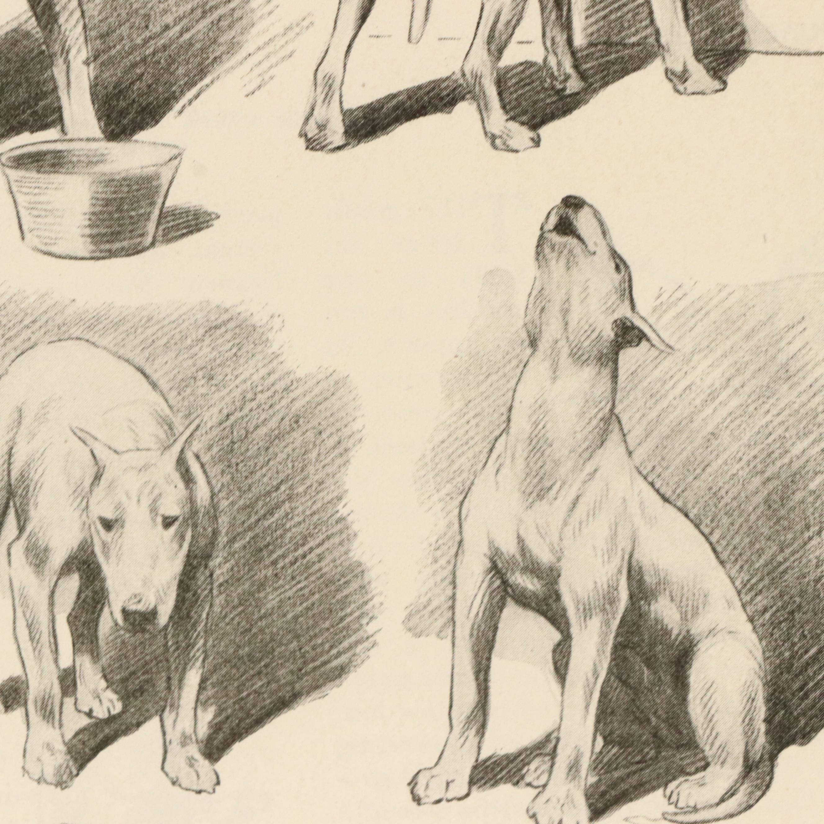 Offset Lithograph and Halftone Illustrations of Bull Terriers, 20th Century