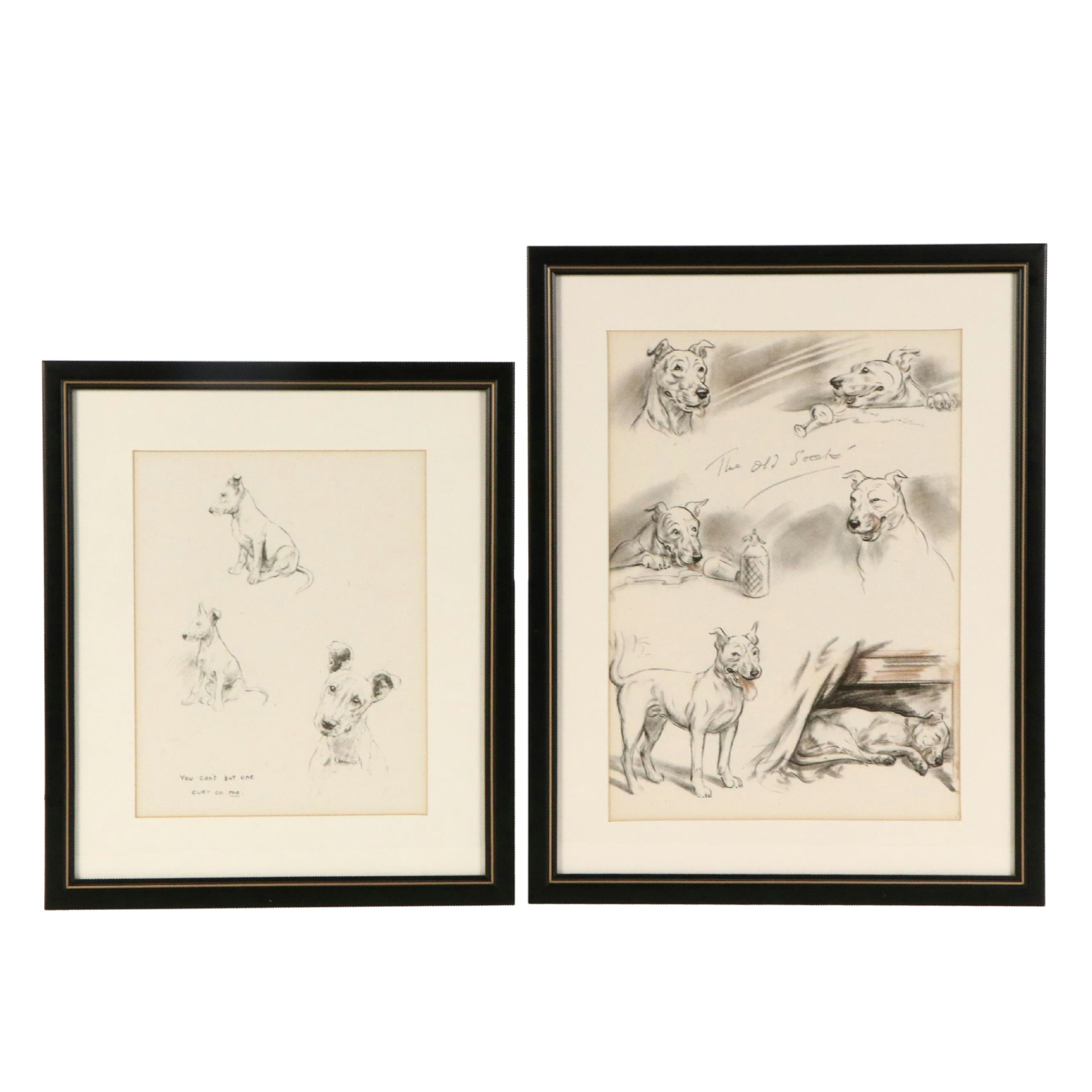 Offset Lithograph and Halftone Illustrations of Bull Terriers, 20th Century