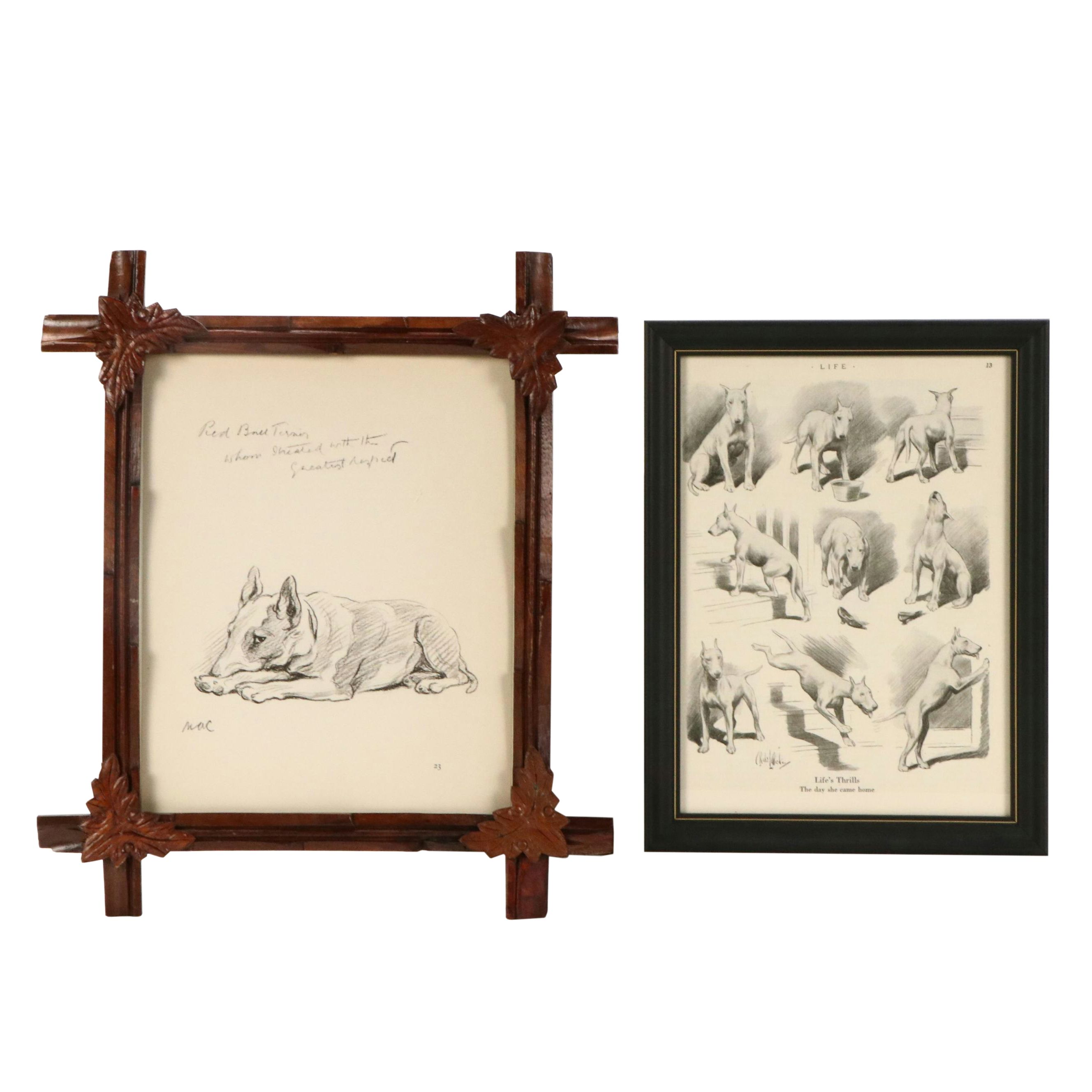 Offset Lithograph and Halftone Illustrations of Bull Terriers, 20th Century