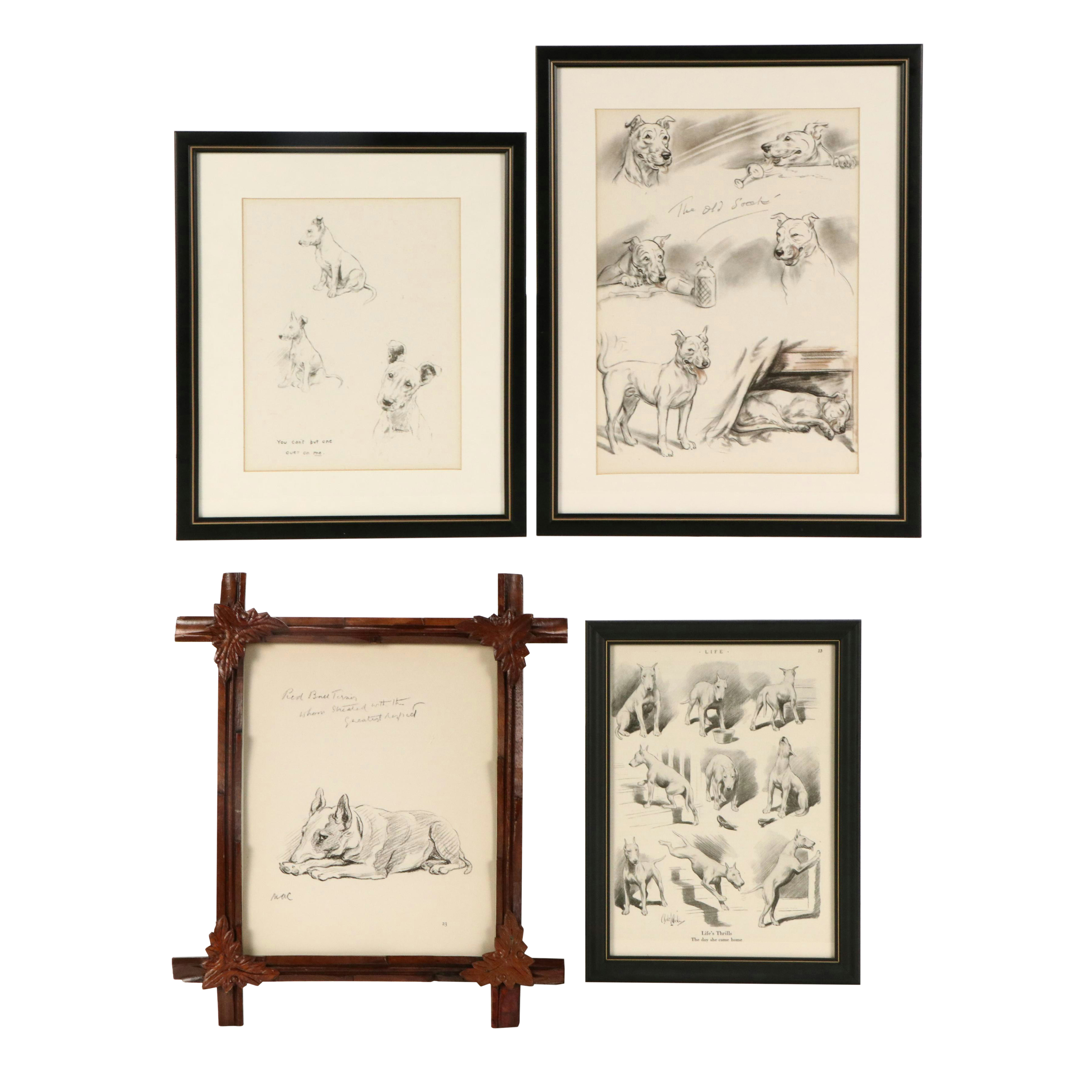 Offset Lithograph and Halftone Illustrations of Bull Terriers, 20th Century