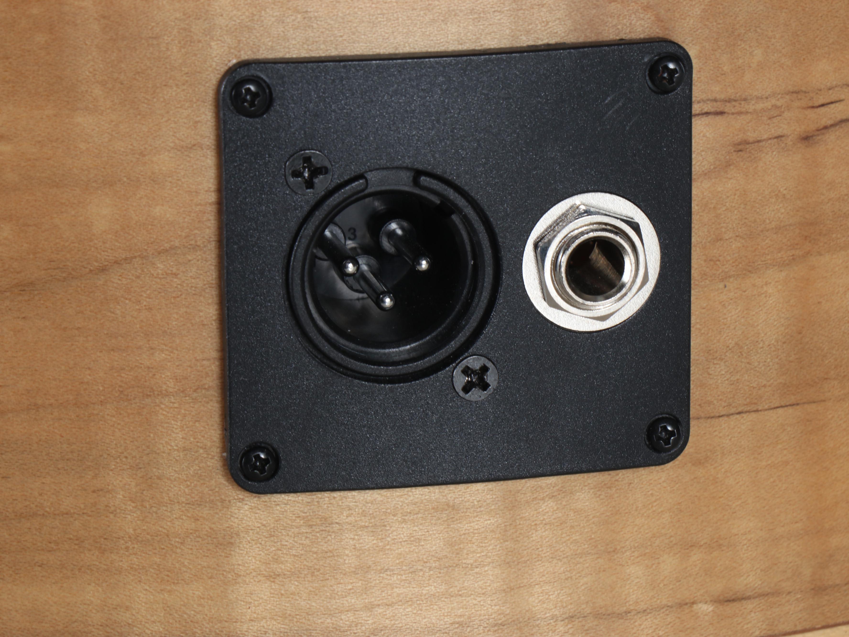 Ortega Thomas Zwijsen Signature Spalted Maple Electric Acoustic Guitar