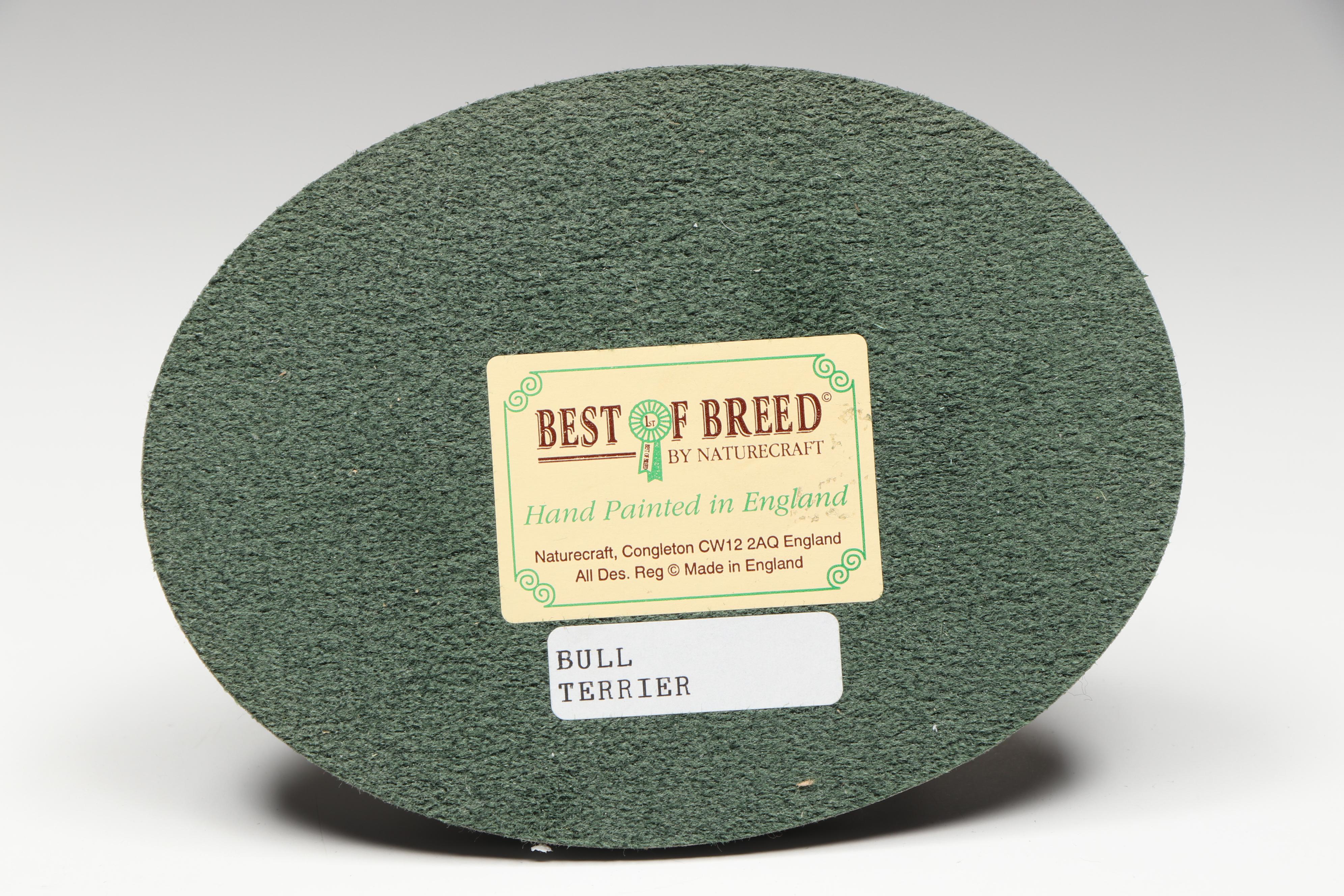 English Bull Terriers