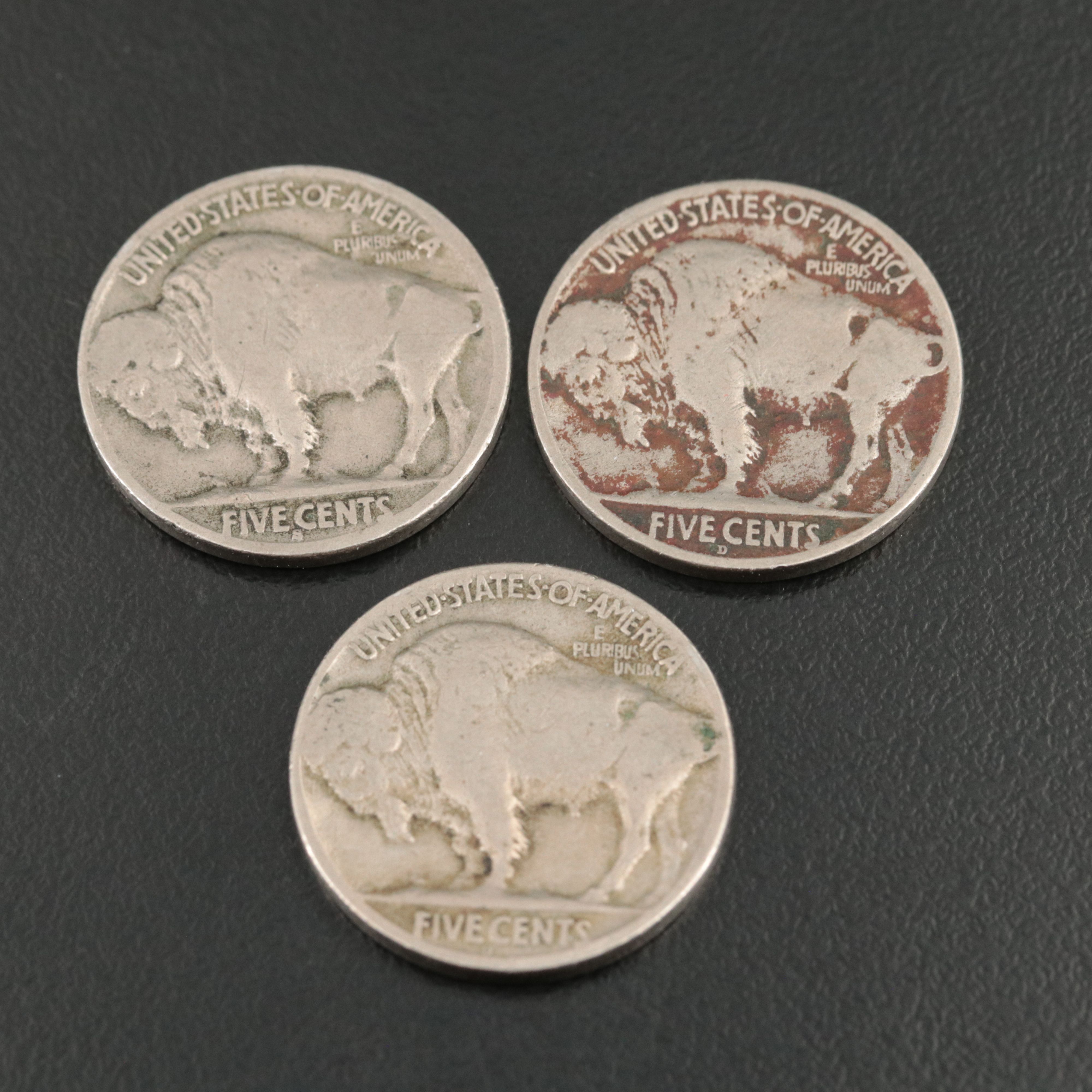 Ten Different Buffalo Nickels