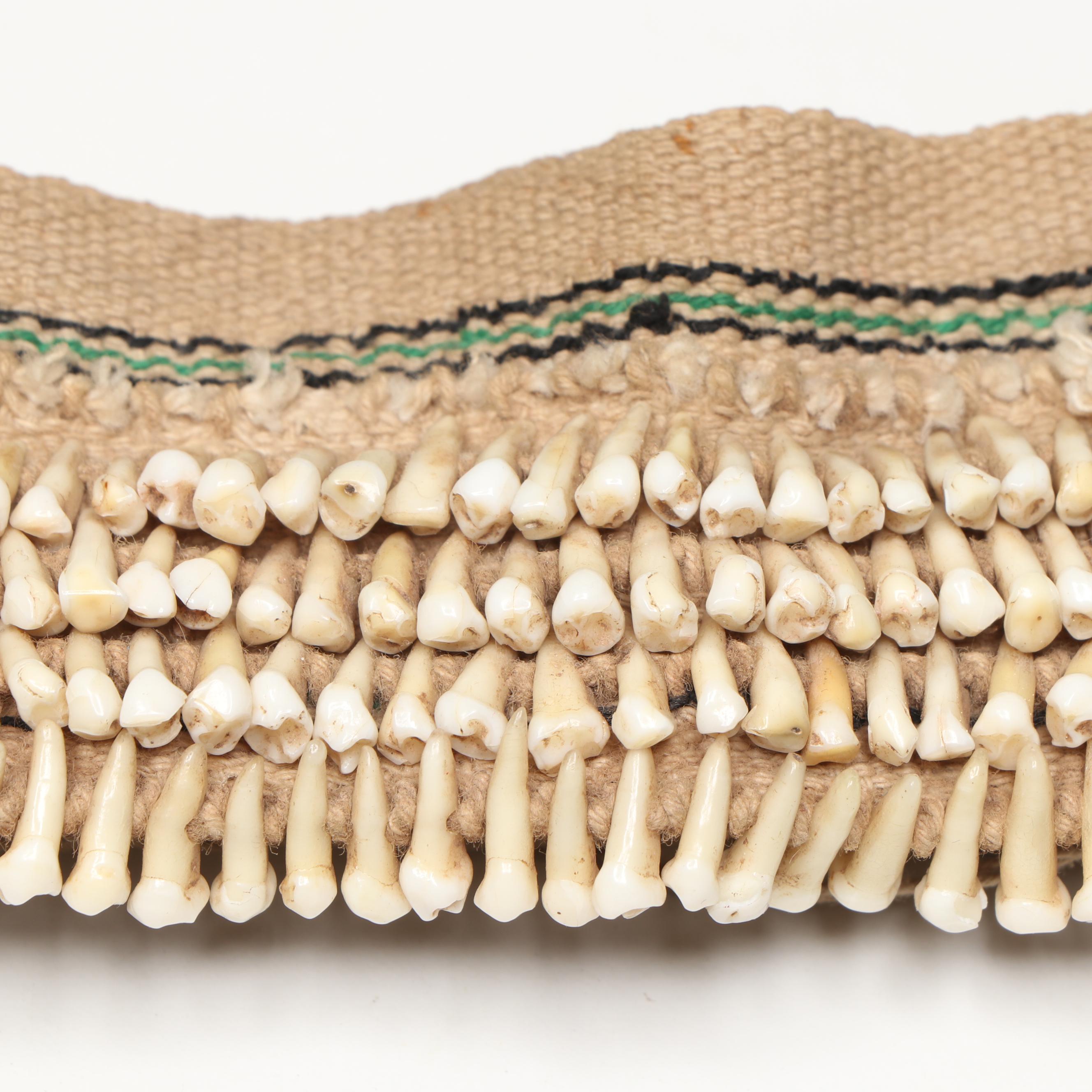 Oceanic Domestic Mammal Teeth Bracelet, 20th Century