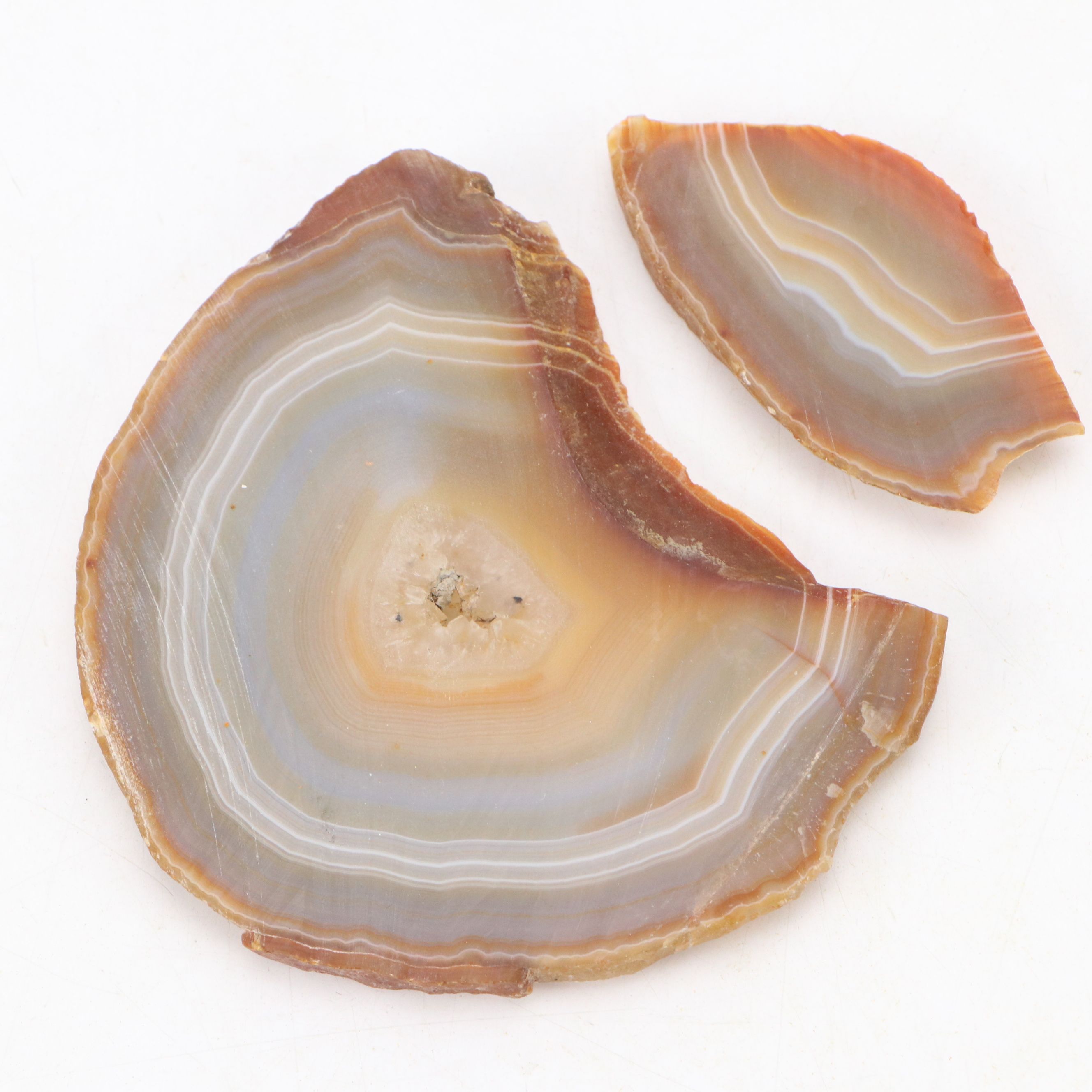 Agate, Rose Quartz and Assorted Specimen Collection