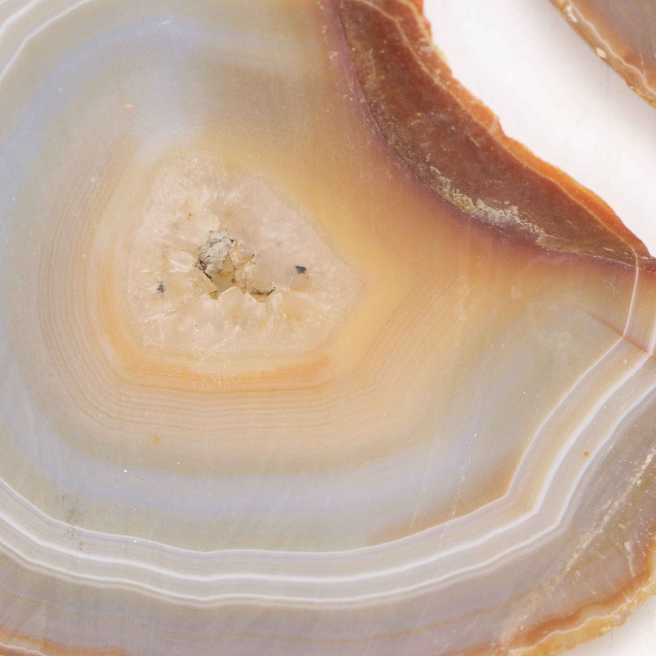 Agate, Rose Quartz and Assorted Specimen Collection