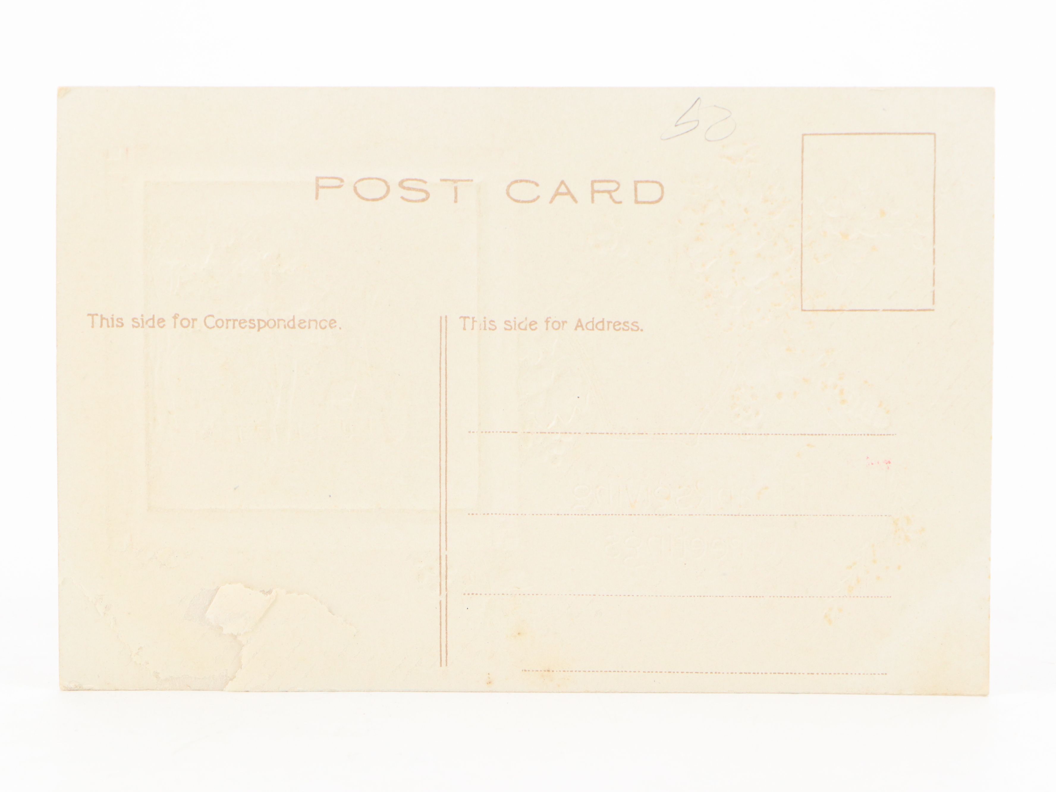 Rachael Tuck & Sons with Other Thanksgiving Postcards, Early 20th Century