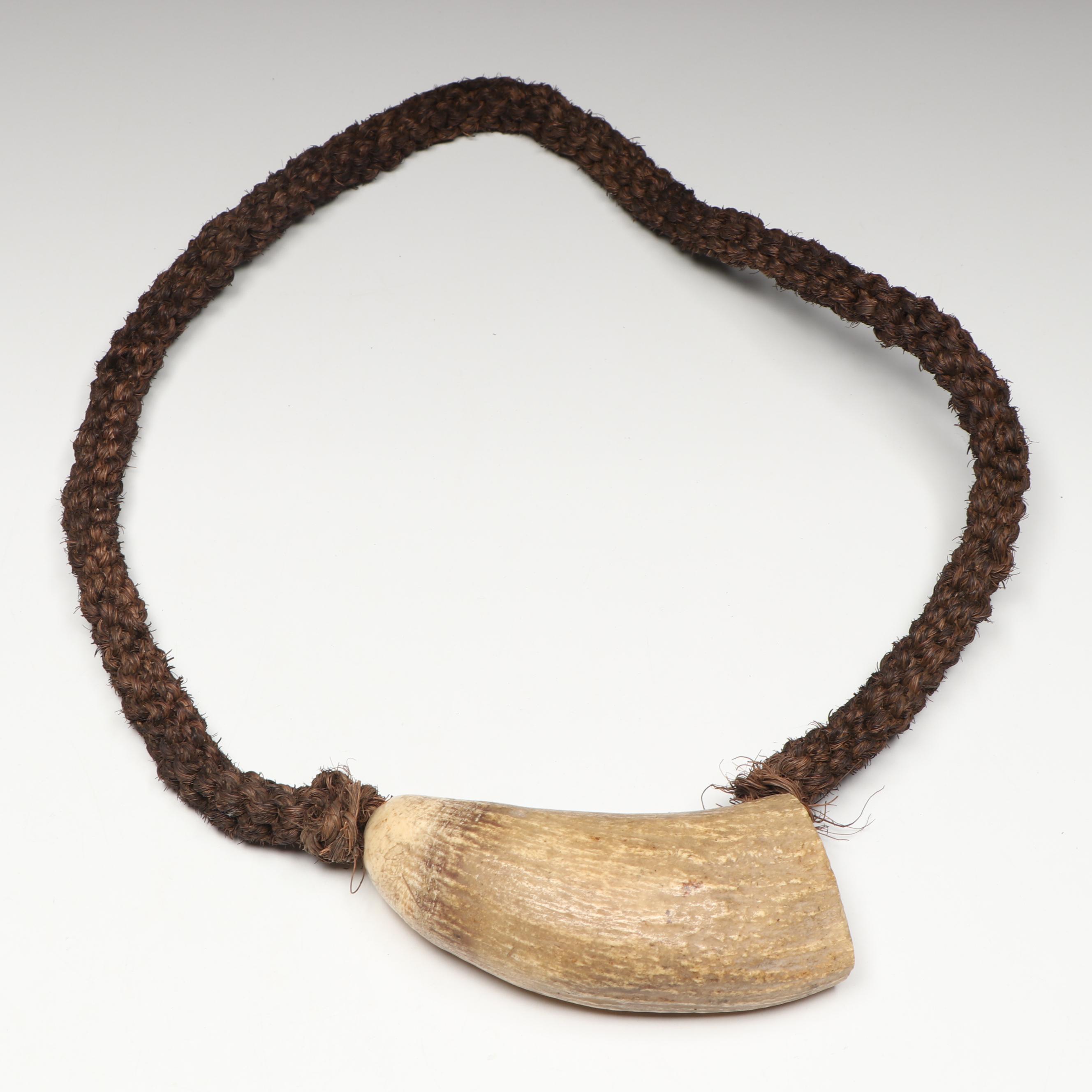 Fijian Fossilized Sperm Whale Tooth Tabua with Other Fossil Tooth Necklace
