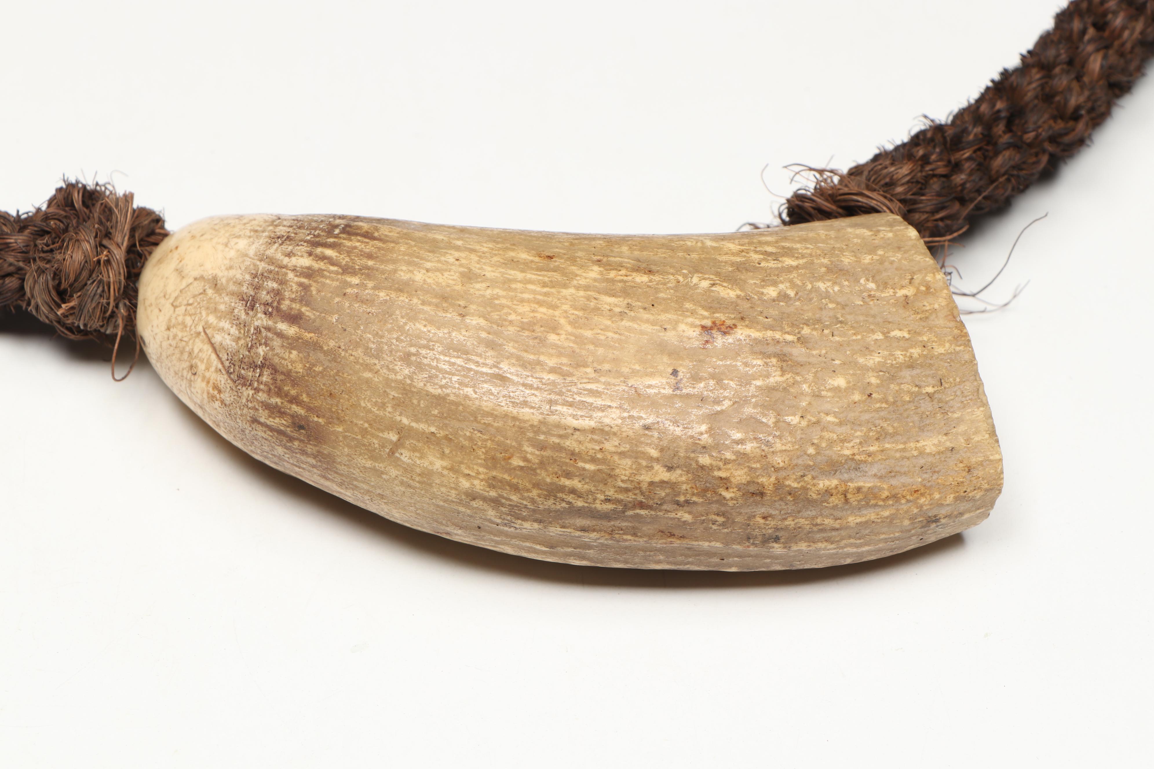 Fijian Fossilized Sperm Whale Tooth Tabua with Other Fossil Tooth Necklace
