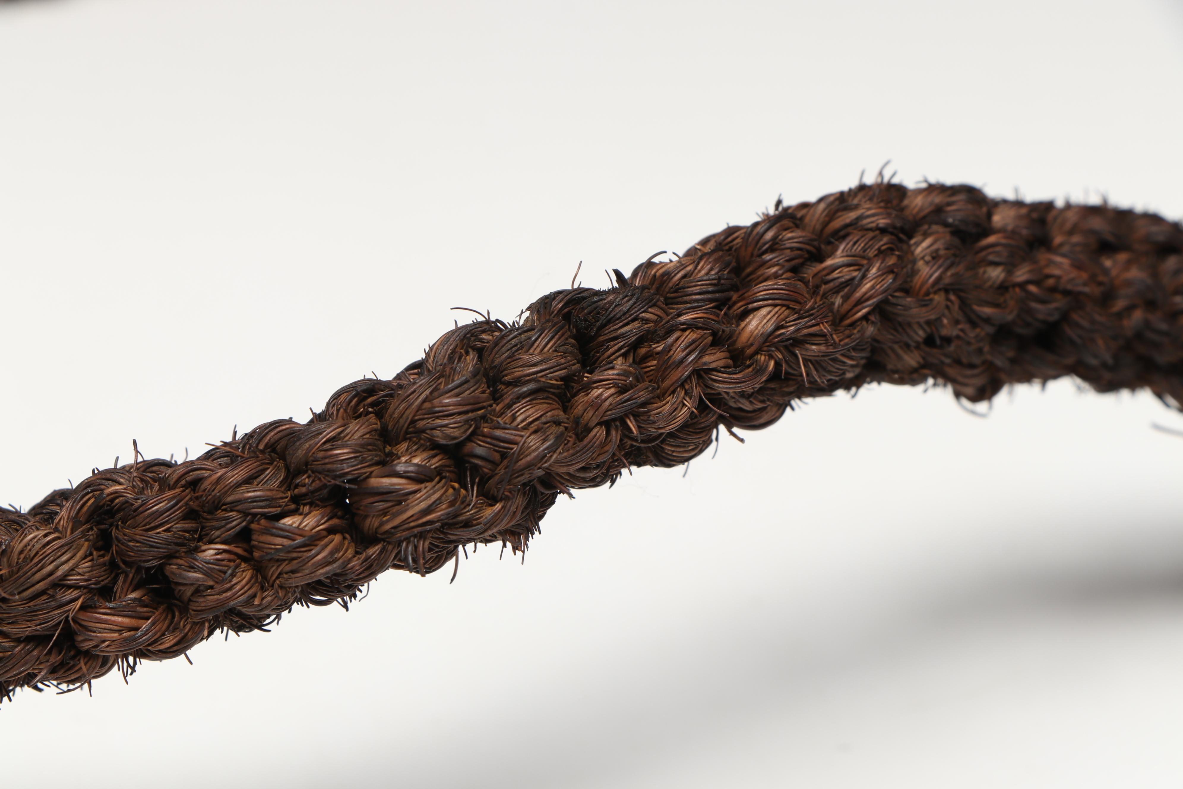 Fijian Fossilized Sperm Whale Tooth Tabua with Other Fossil Tooth Necklace