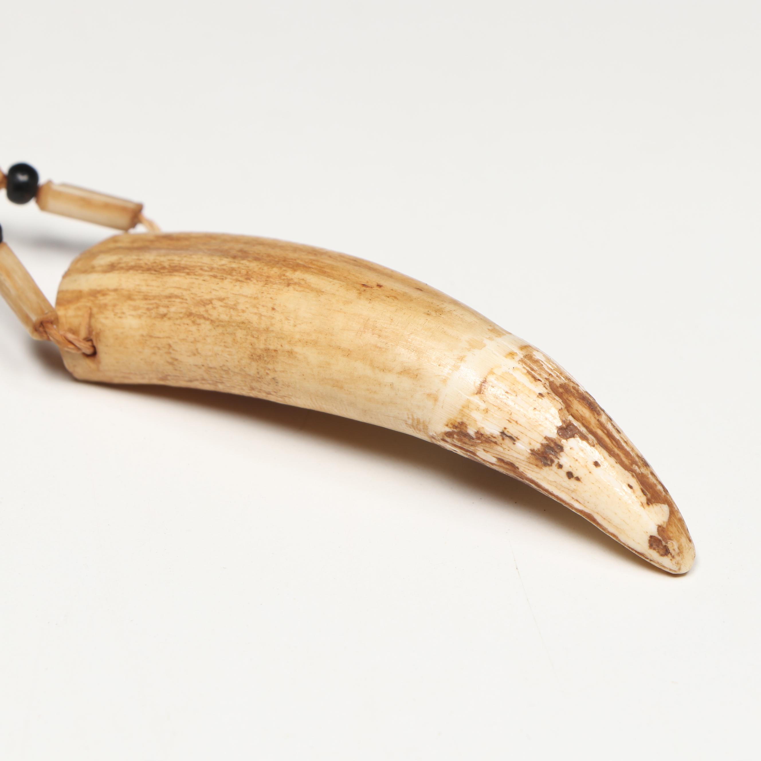 Fijian Fossilized Sperm Whale Tooth Tabua with Other Fossil Tooth Necklace