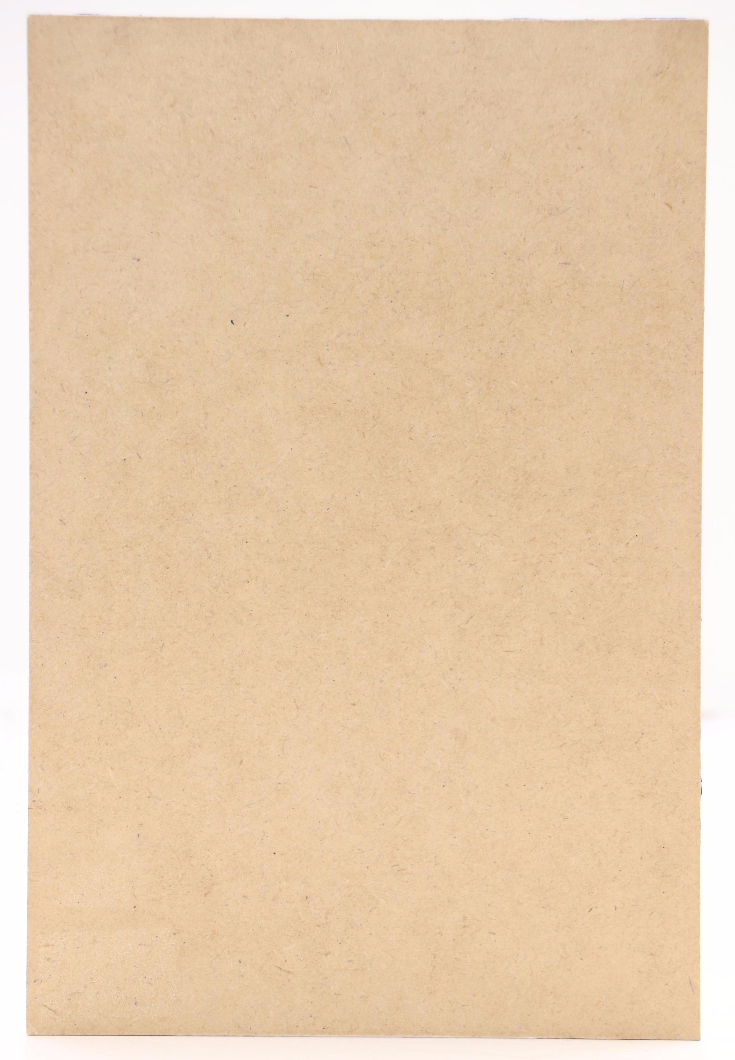 Natalia Demenko Oil Painting of Sardines, Circa 2025