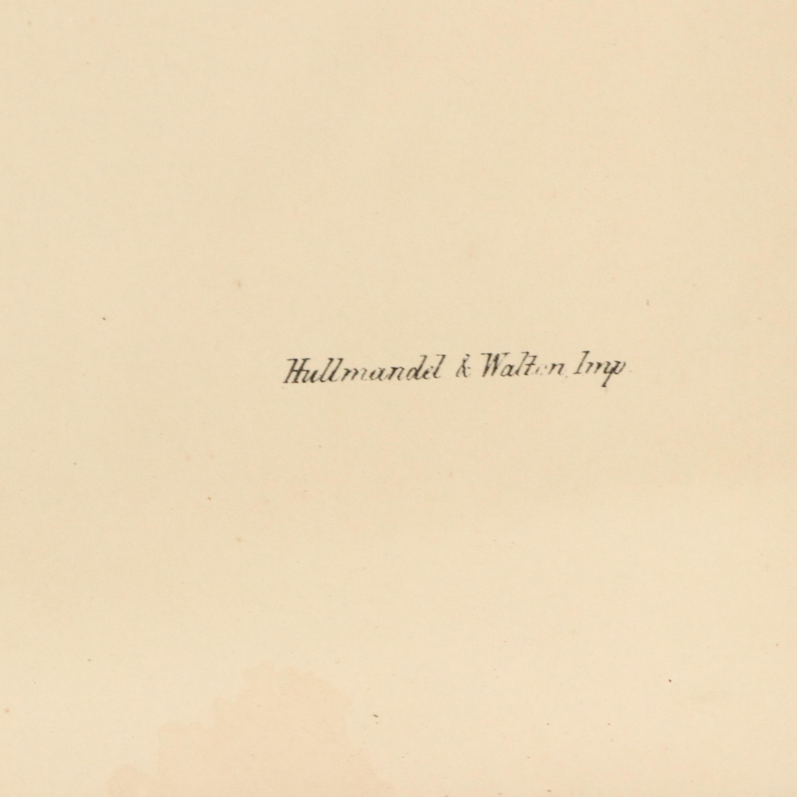 Ornithological Color Lithographs After John Gould