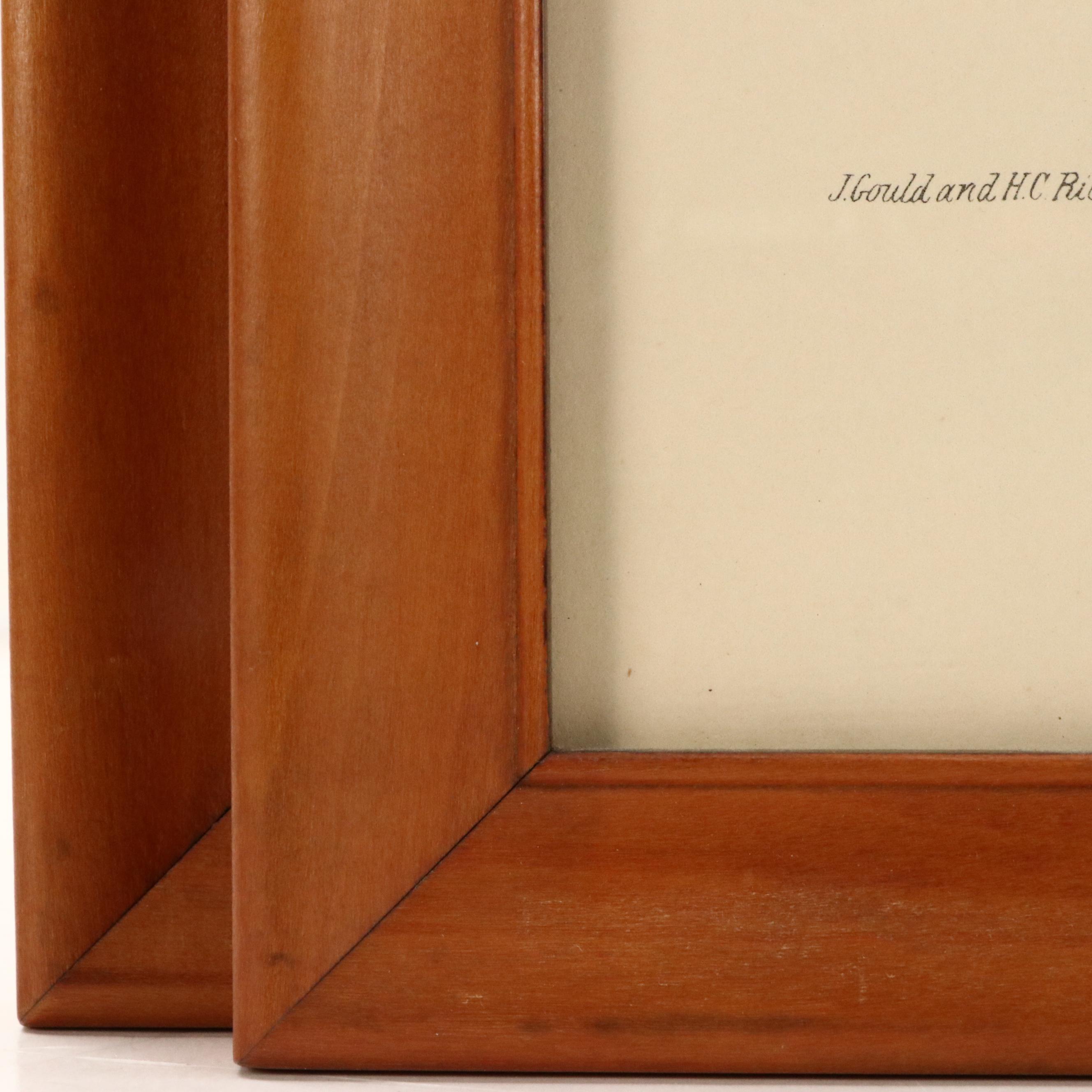 Ornithological Color Lithographs After John Gould