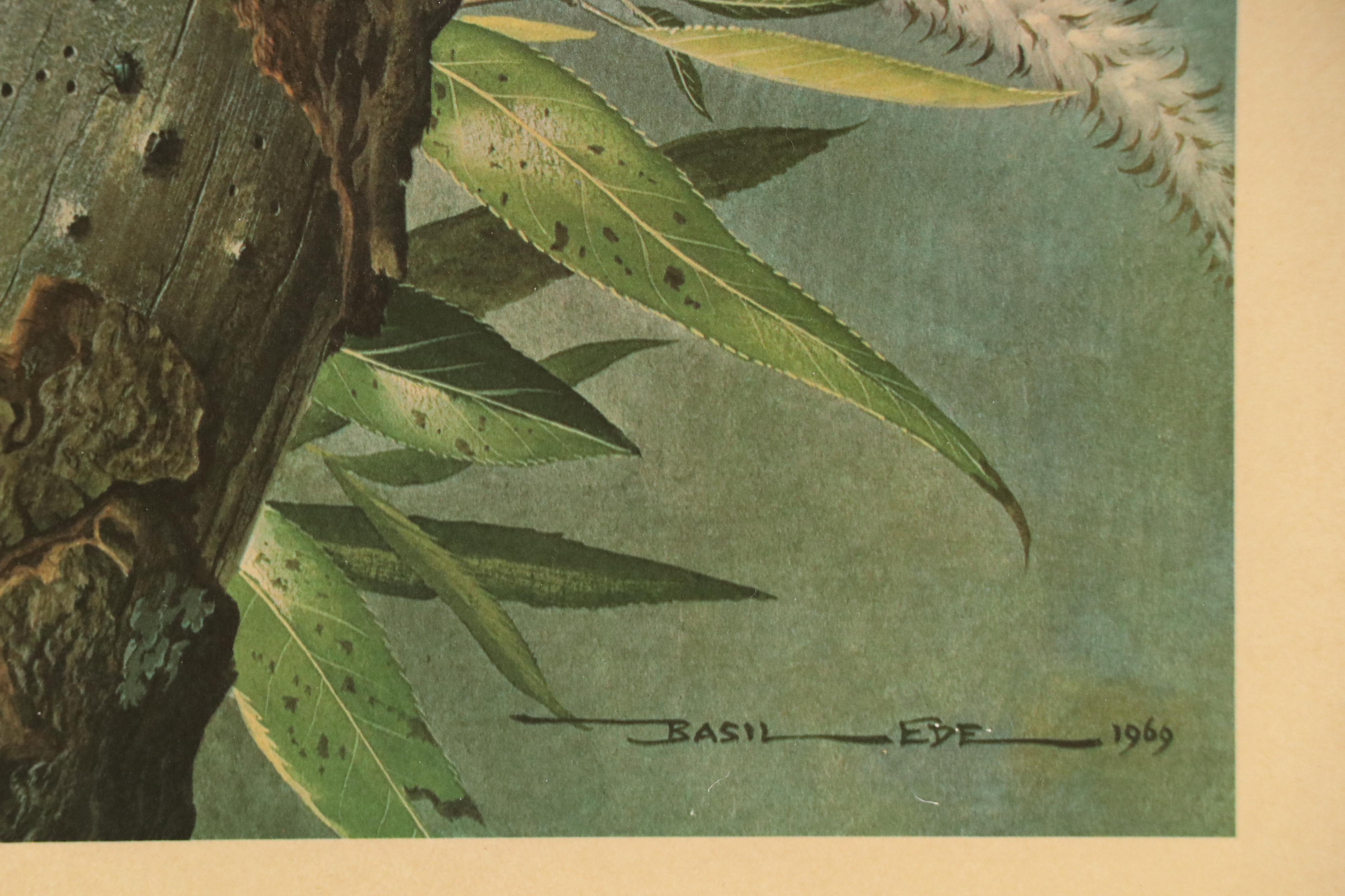 After Basil Ede Offset Lithograph "Great Spotted Woodpeckers," Circa 1969