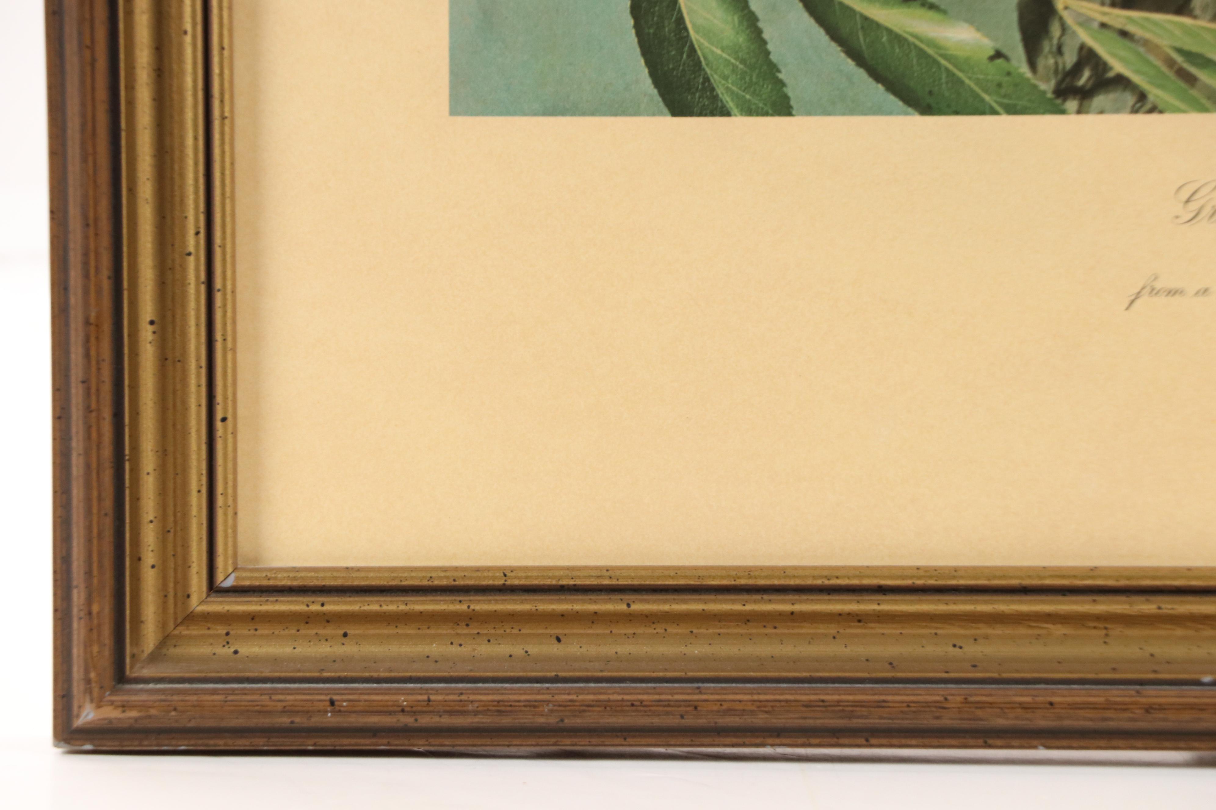 After Basil Ede Offset Lithograph "Great Spotted Woodpeckers," Circa 1969