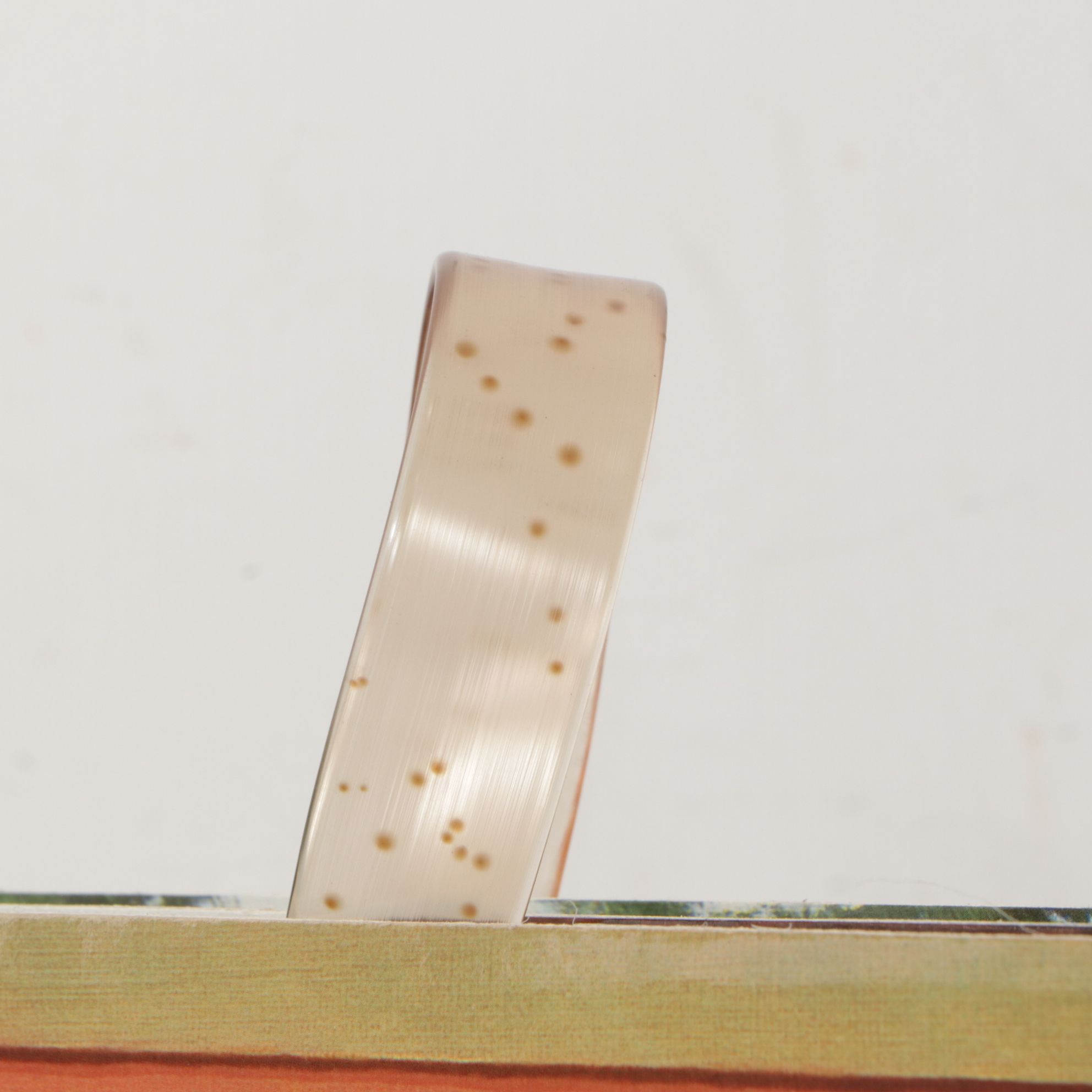 American Girl "Samantha Parkington" Scenes and Settings Backgrounds