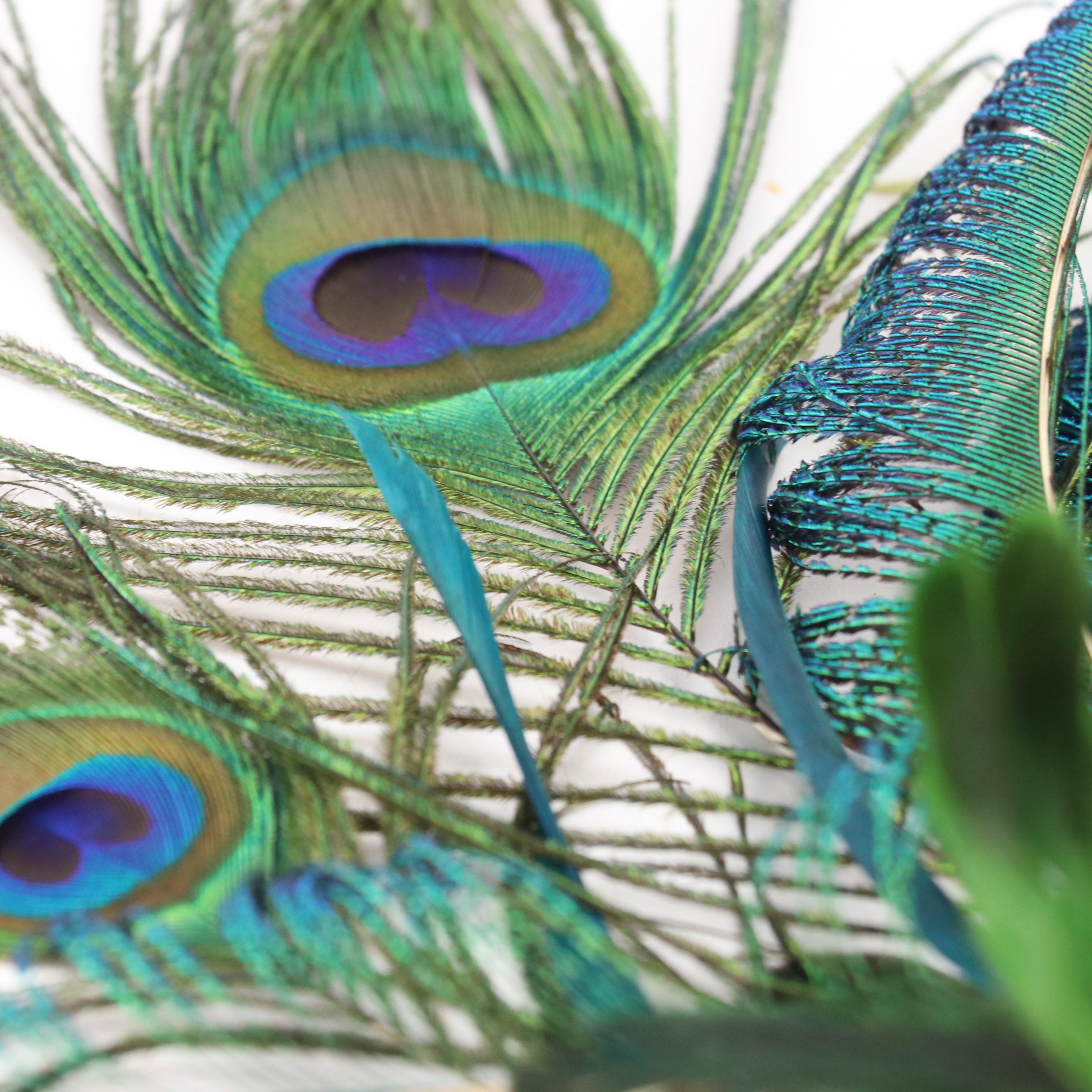 Platter Hat, Breton Hat, and Woven Wide Brim Hats