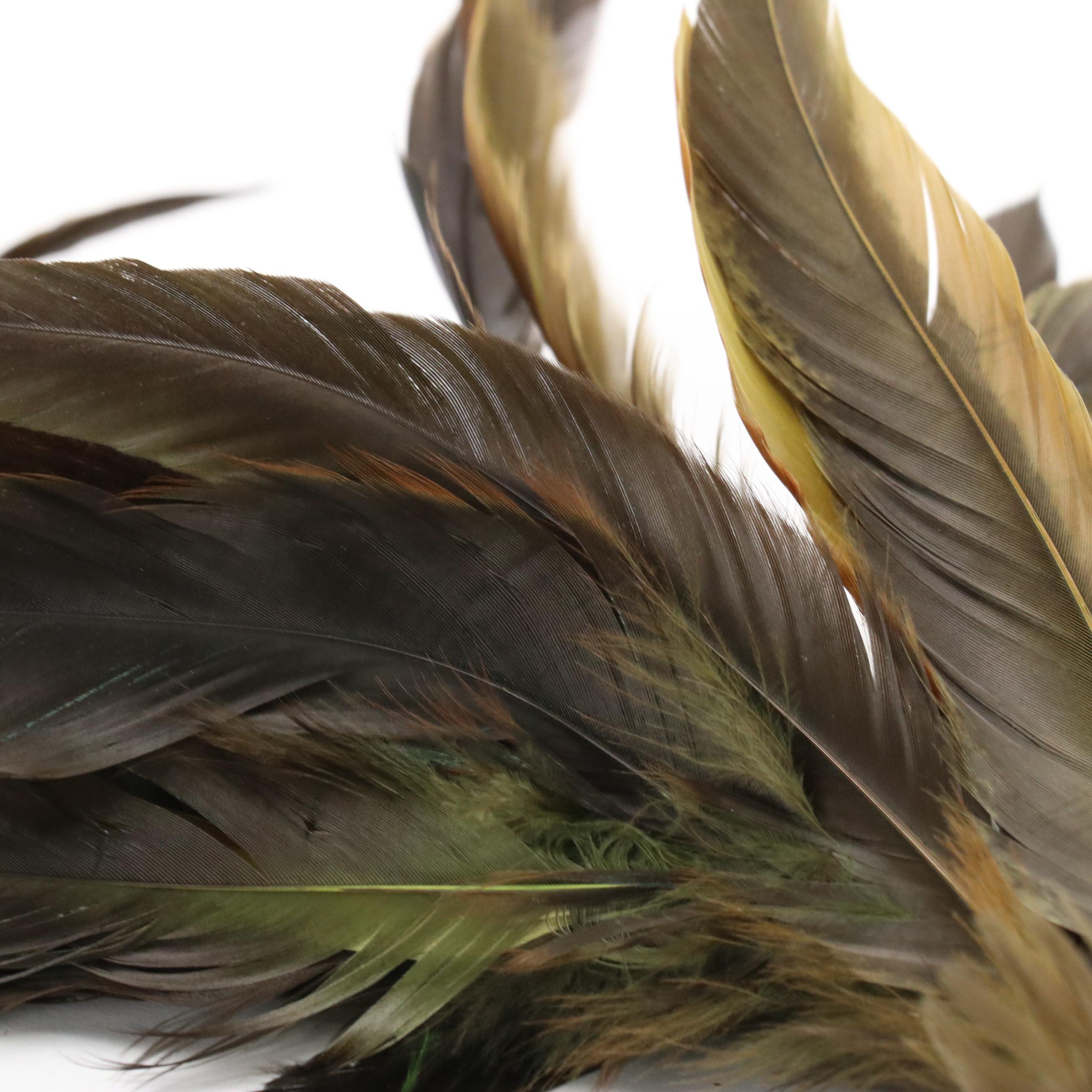 Platter Hat, Breton Hat, and Woven Wide Brim Hats