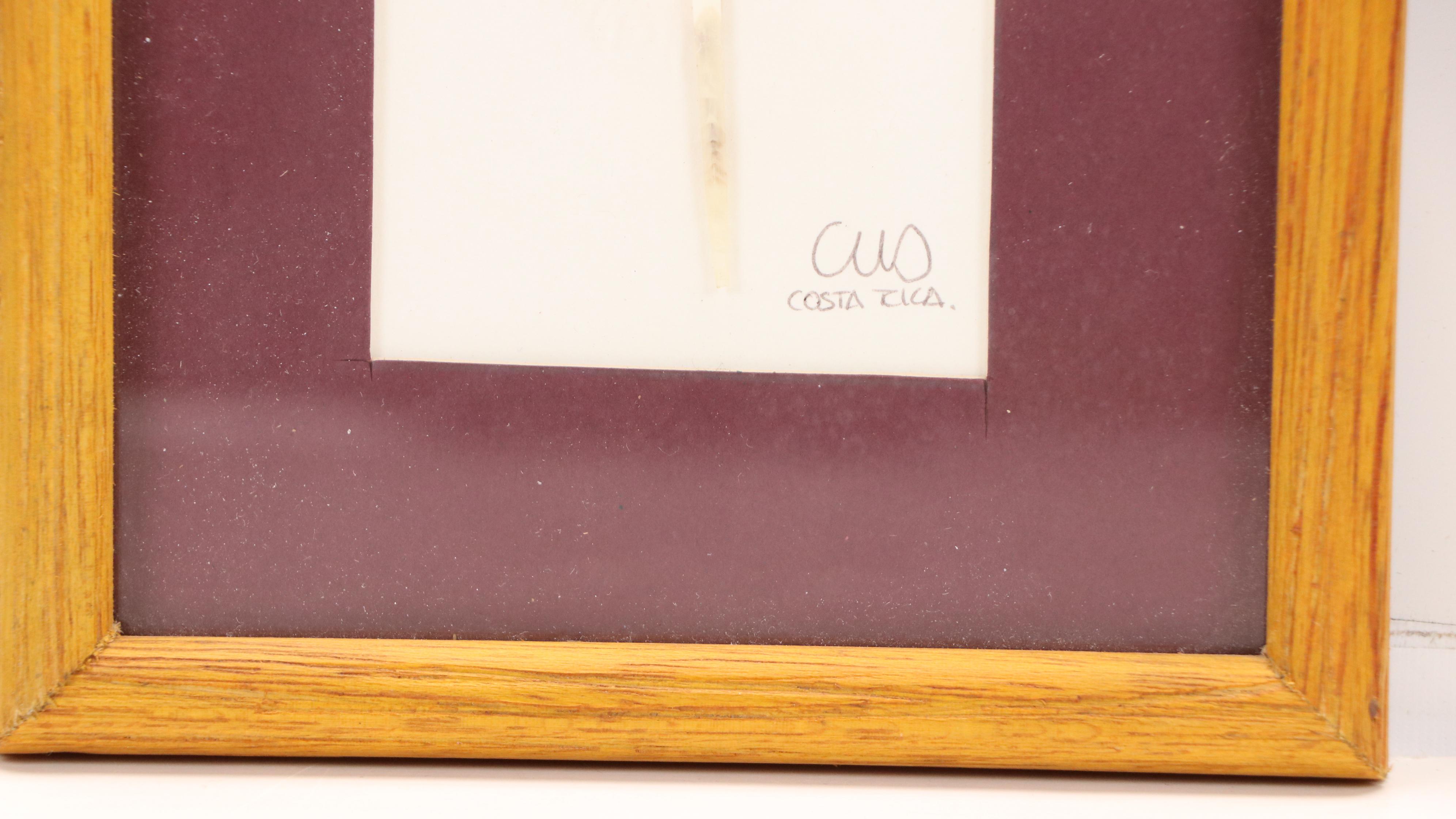 Costa Rican Acrylic on Feather Paintings of Birds and Butterflies