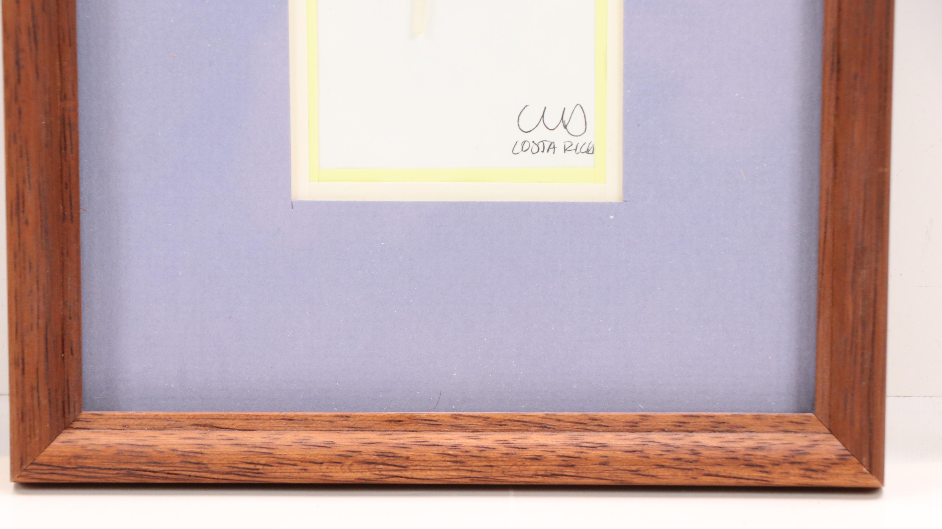 Costa Rican Acrylic on Feather Paintings of Birds and Butterflies