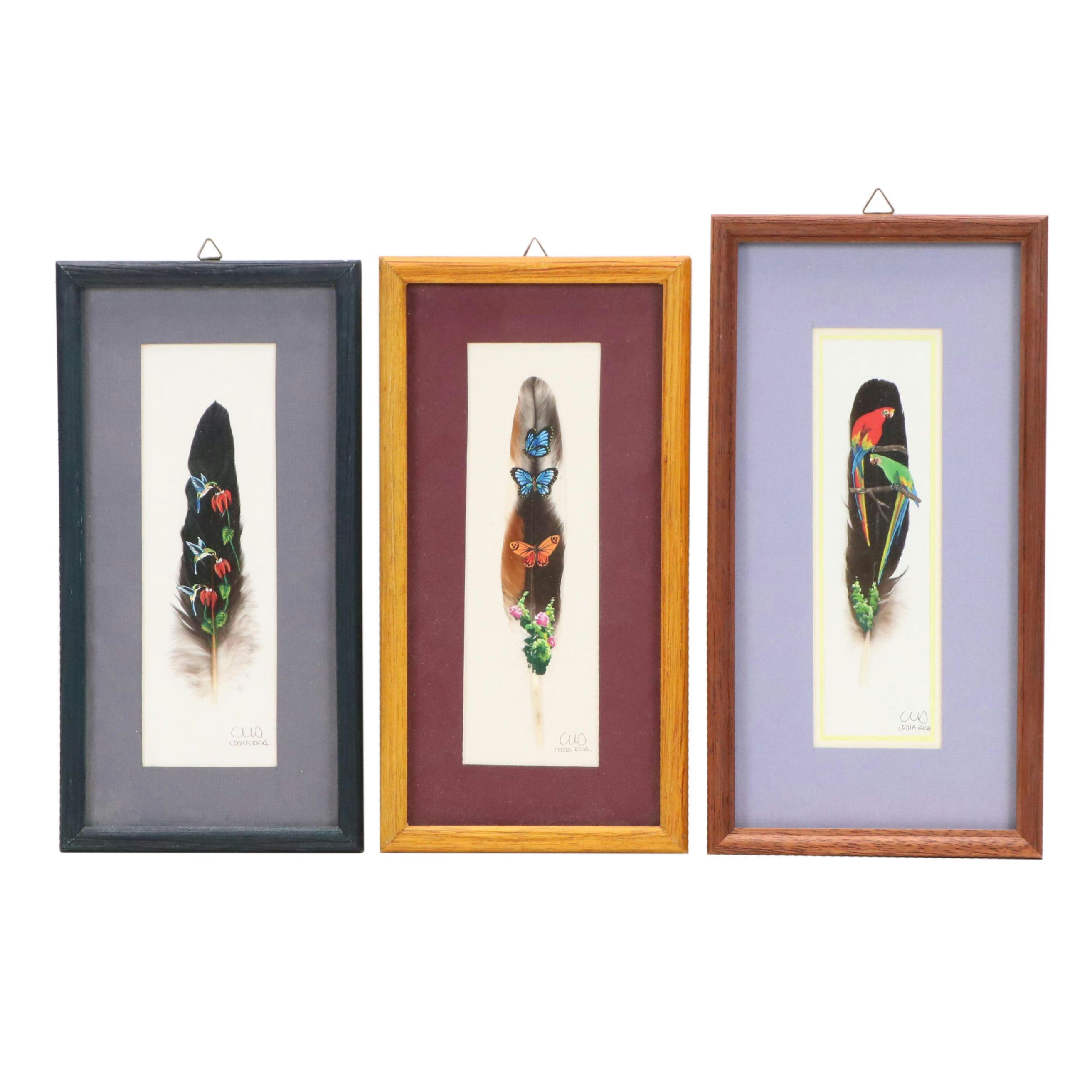 Costa Rican Acrylic on Feather Paintings of Birds and Butterflies