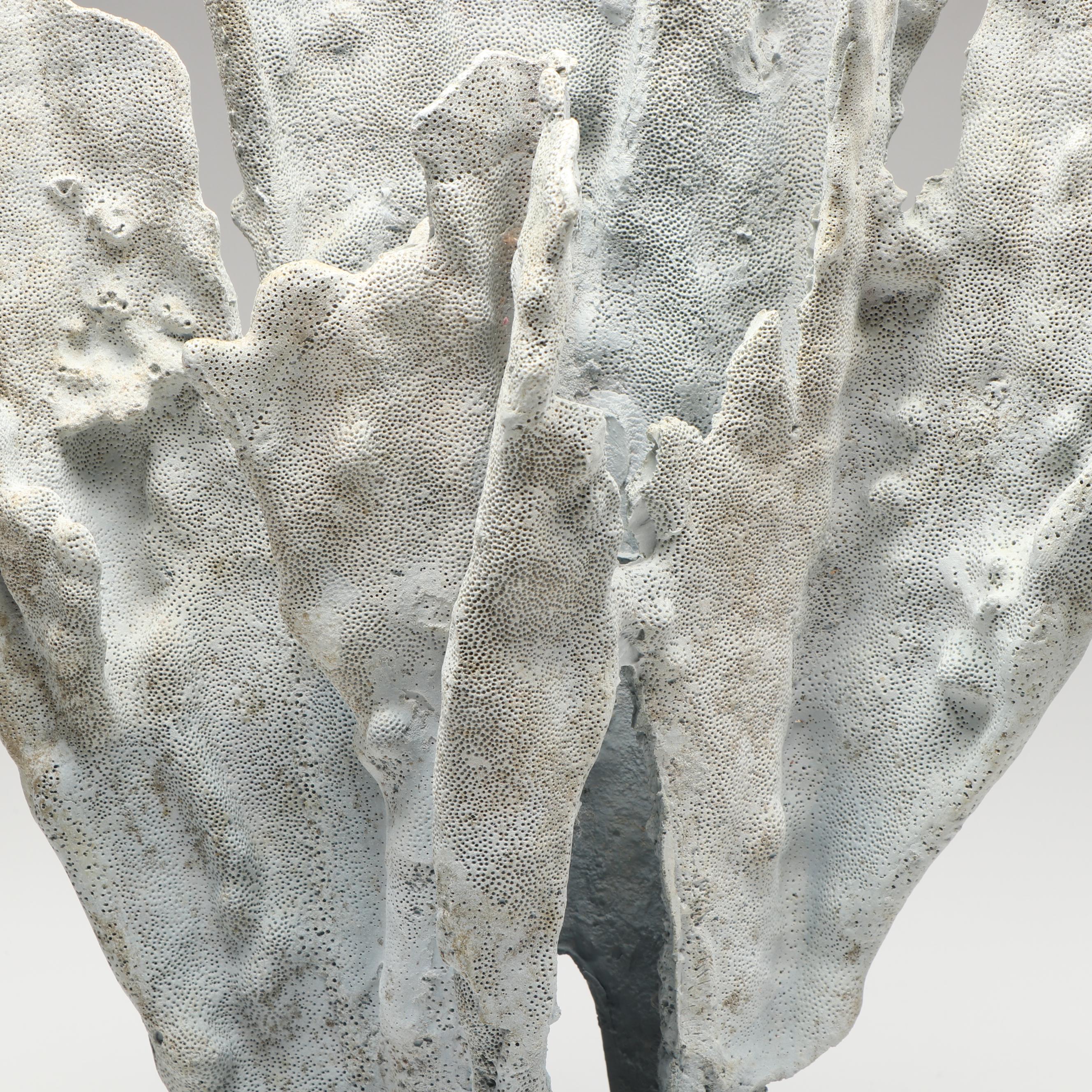 Blue Ridge Coral Specimen in Aggregate Base