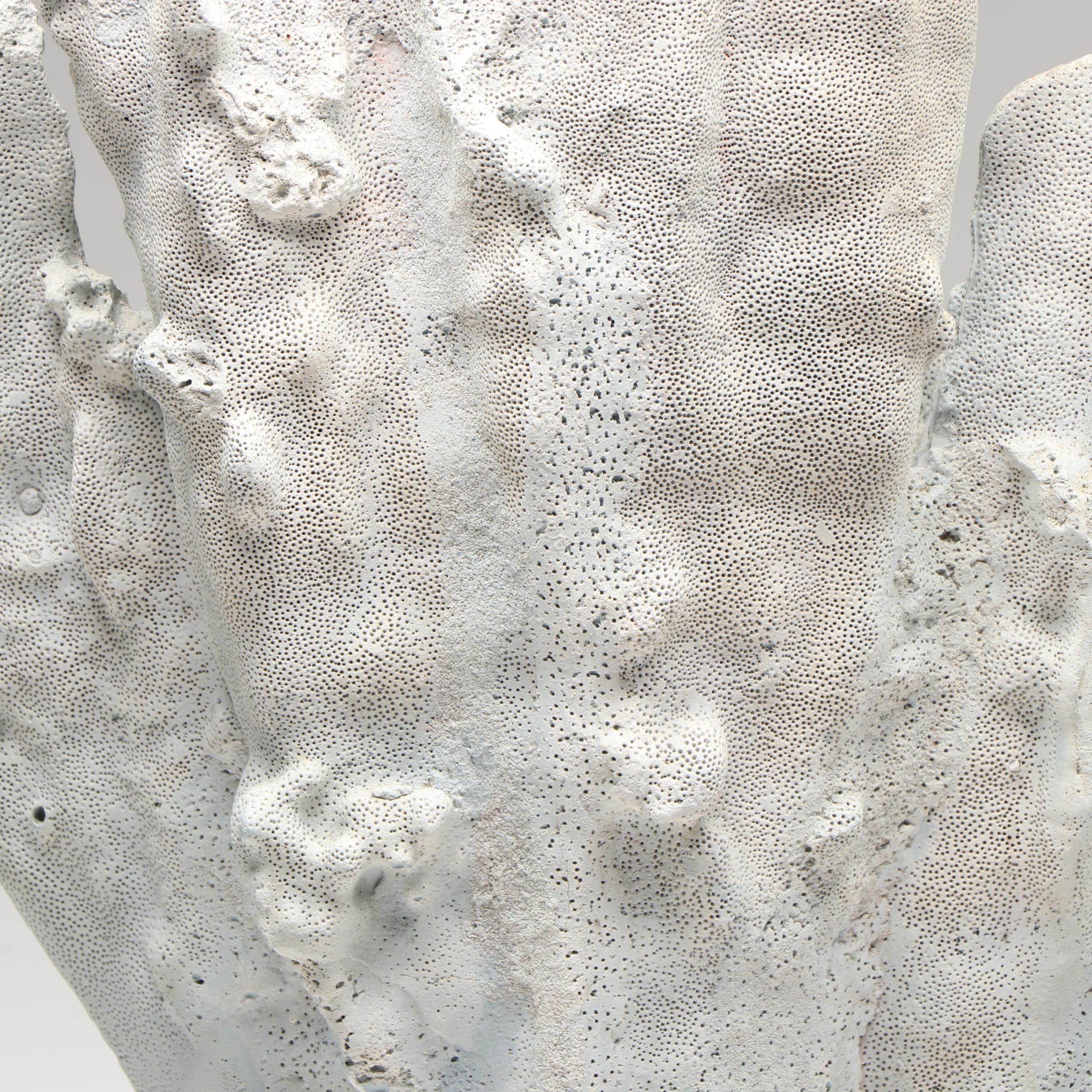 Blue Ridge Coral Specimen in Aggregate Base