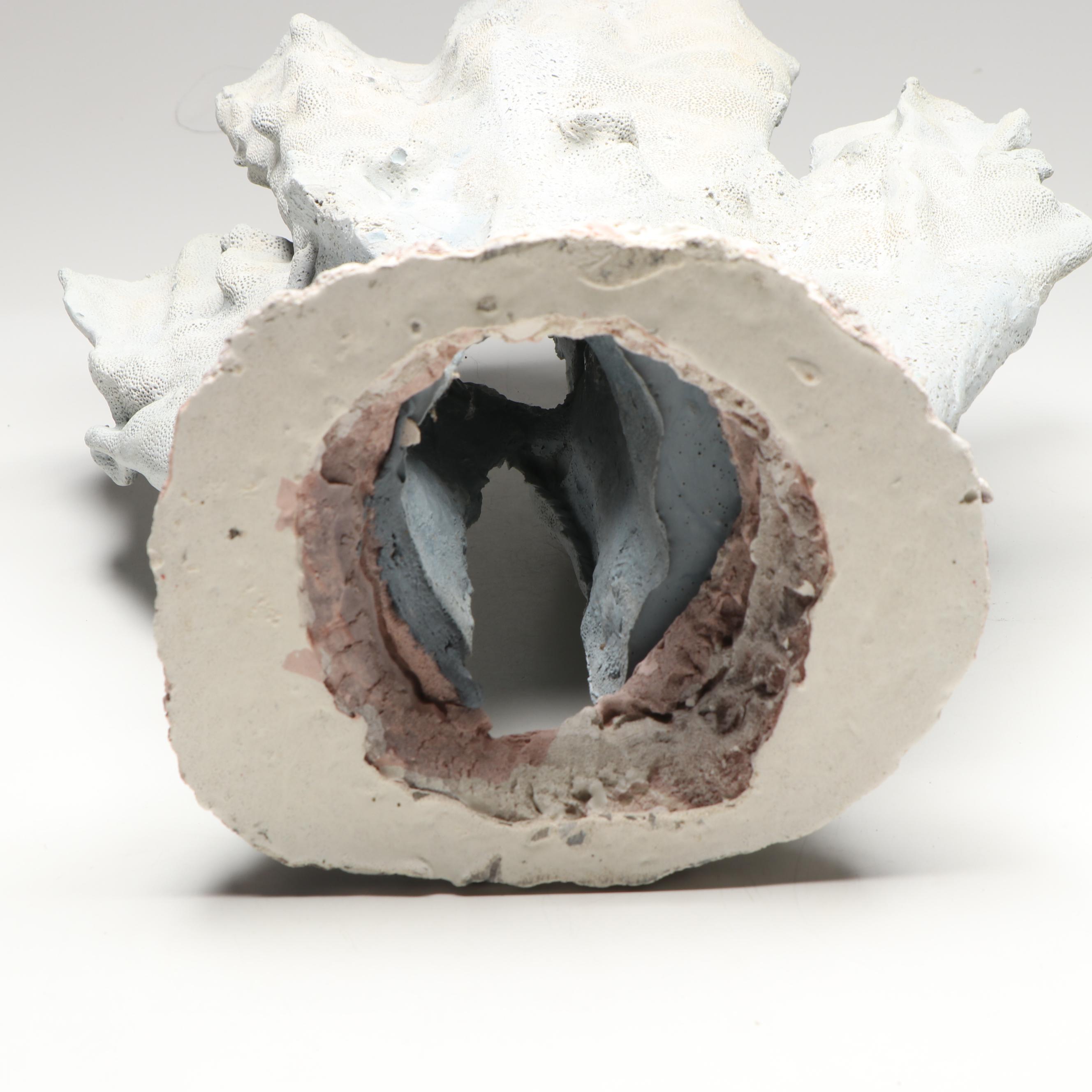 Blue Ridge Coral Specimen in Aggregate Base