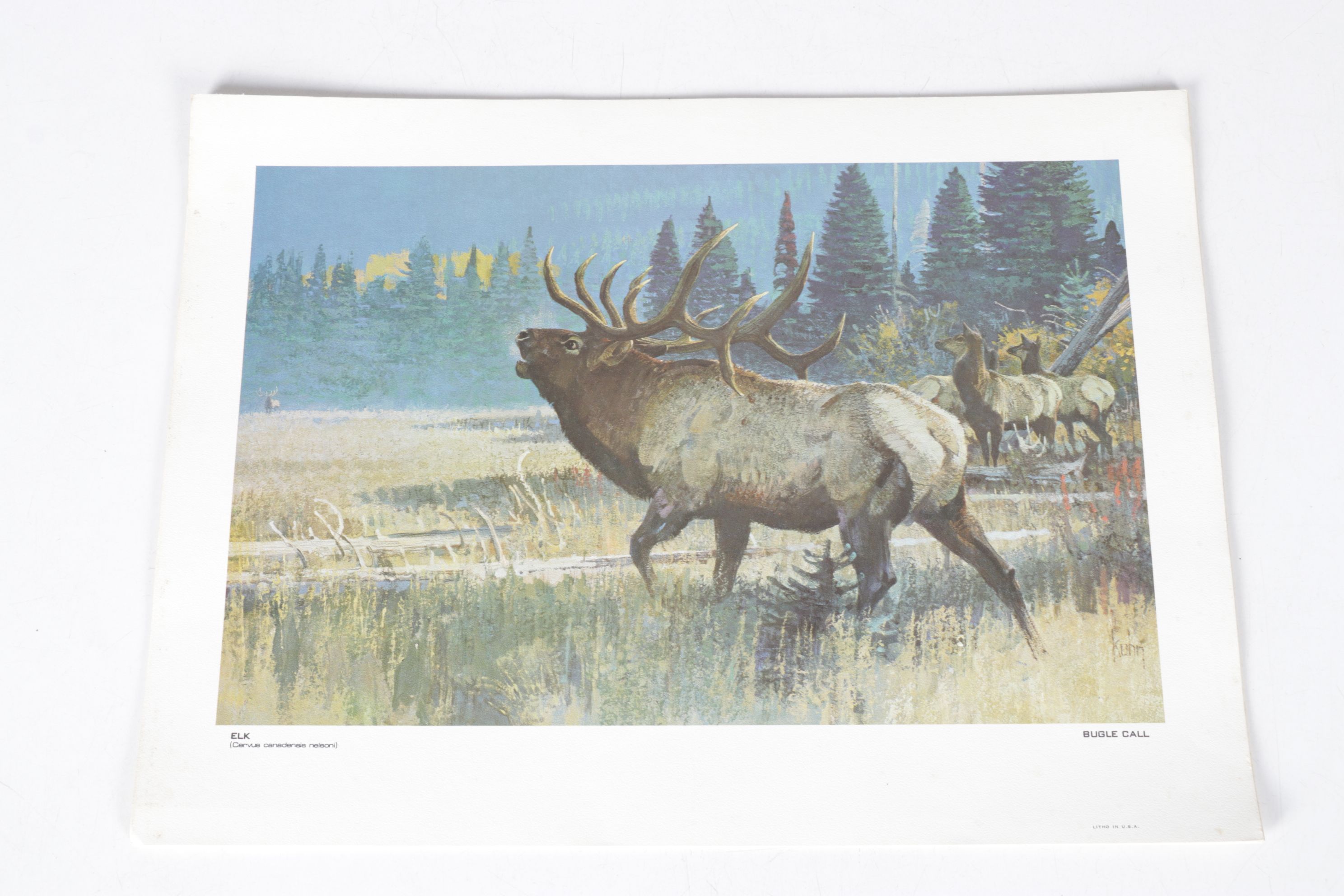 Bob Kuhn Offset Lithograph Collection "Remington's Portfolio of Big Game"