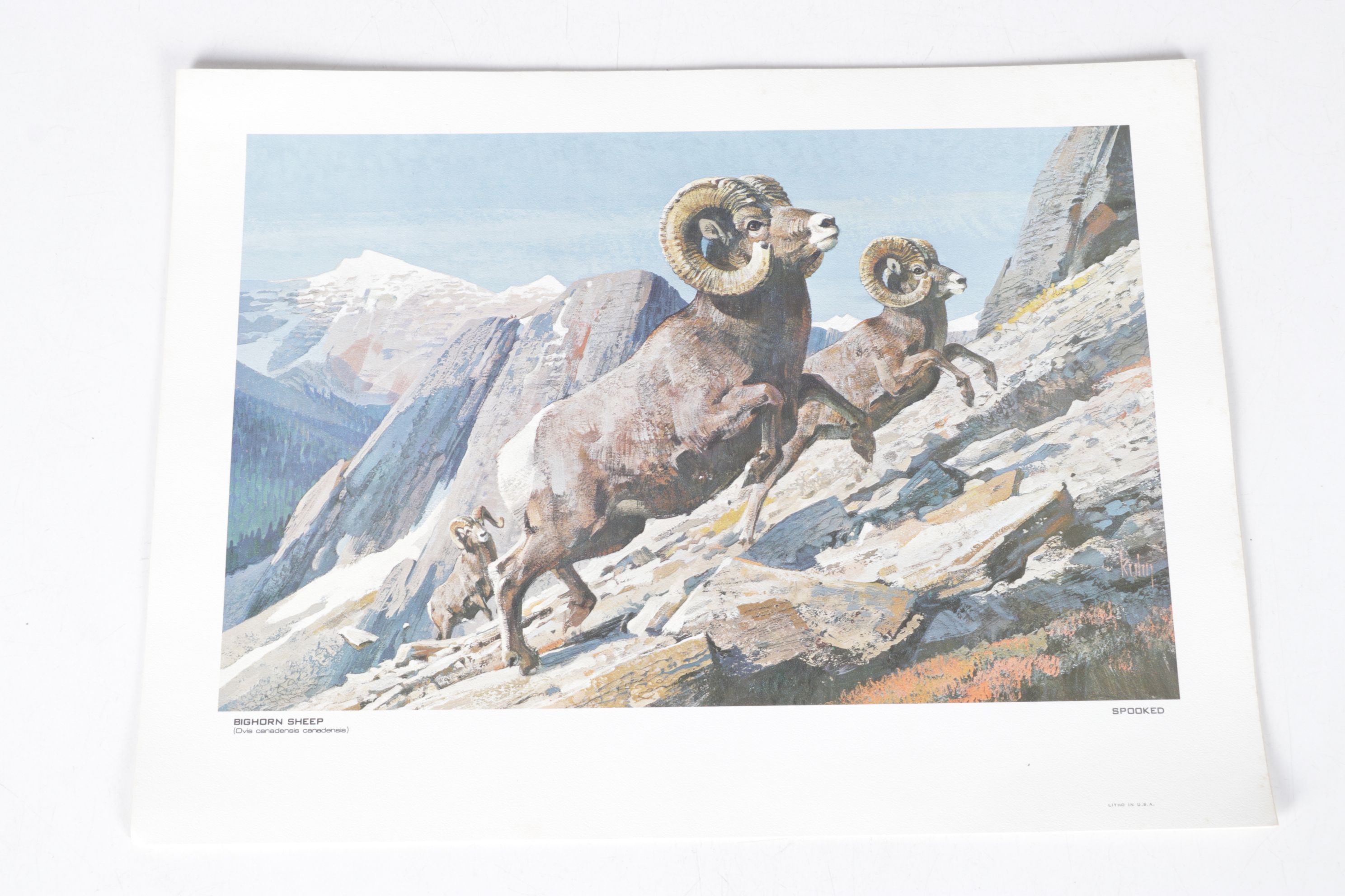 Bob Kuhn Offset Lithograph Collection "Remington's Portfolio of Big Game"