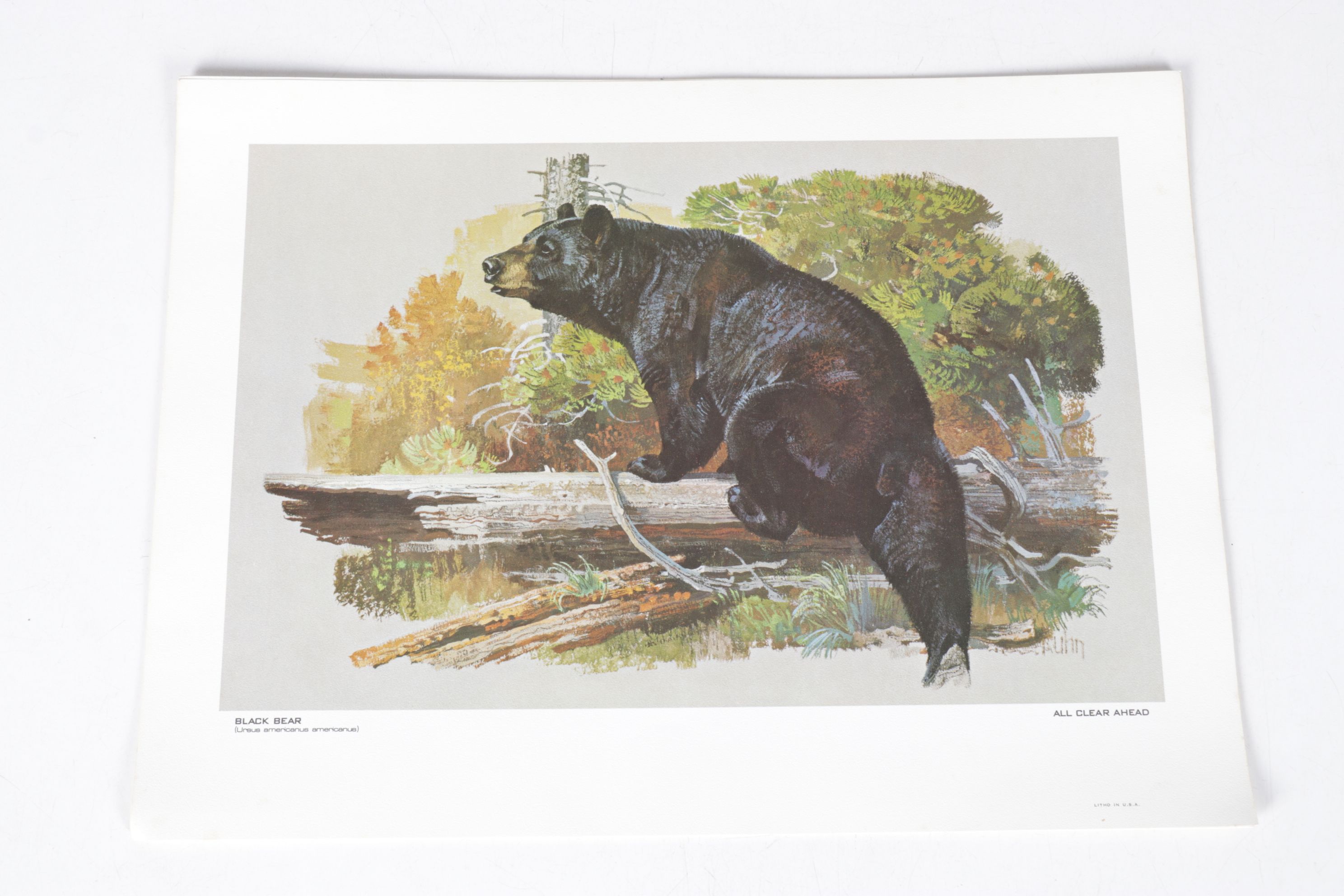 Bob Kuhn Offset Lithograph Collection "Remington's Portfolio of Big Game"