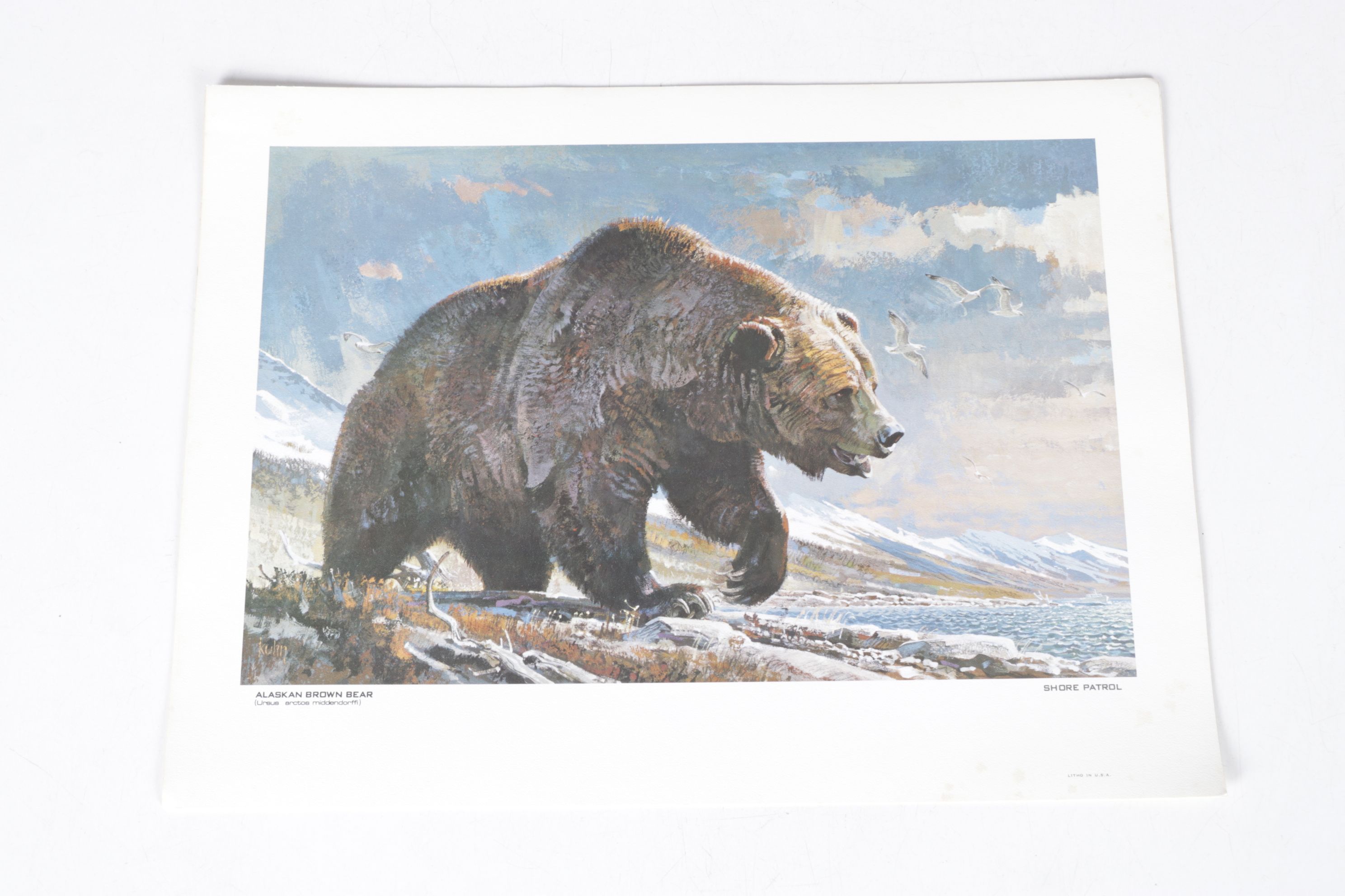 Bob Kuhn Offset Lithograph Collection "Remington's Portfolio of Big Game"