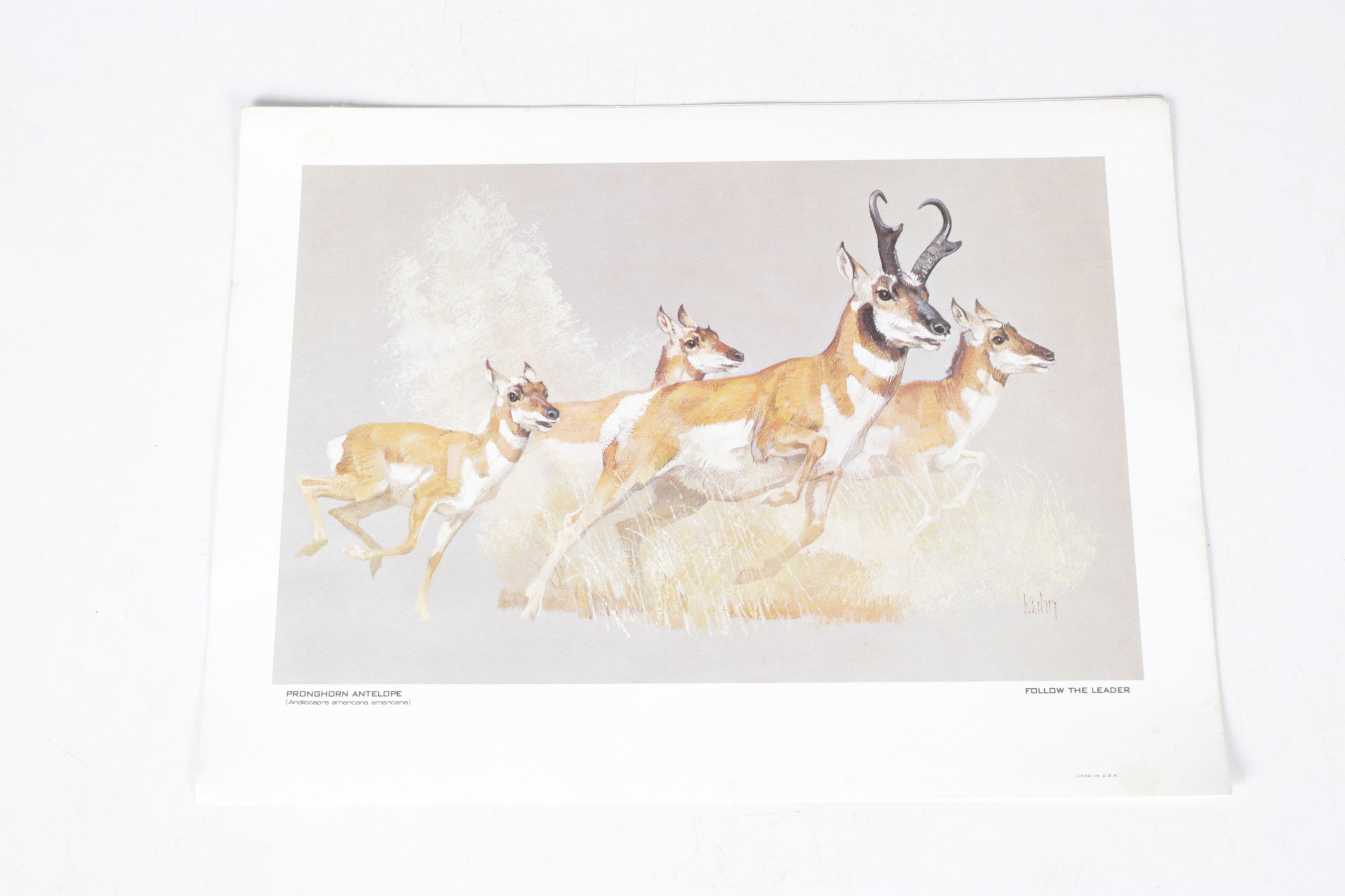 Bob Kuhn Offset Lithograph Collection "Remington's Portfolio of Big Game"