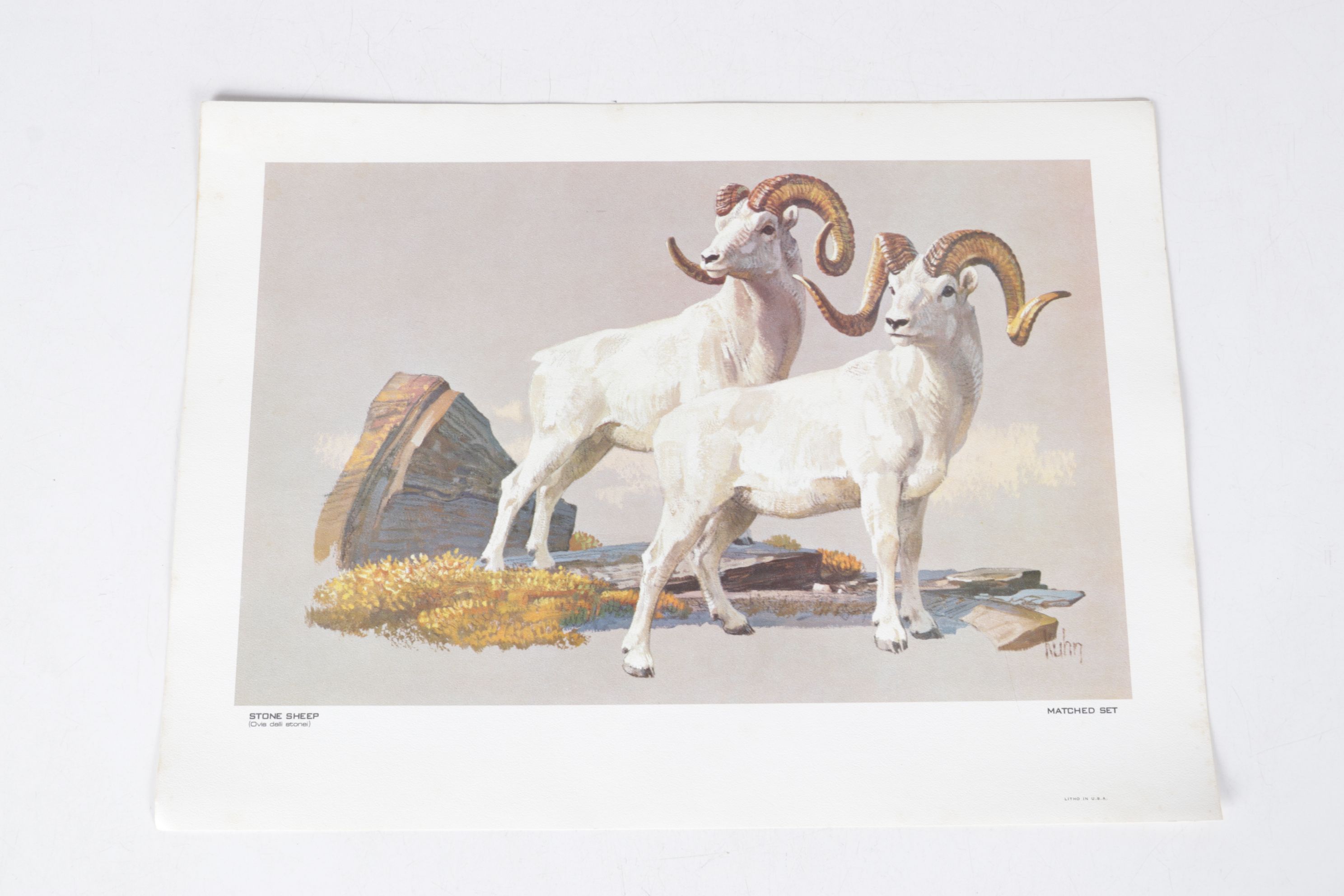 Bob Kuhn Offset Lithograph Collection "Remington's Portfolio of Big Game"