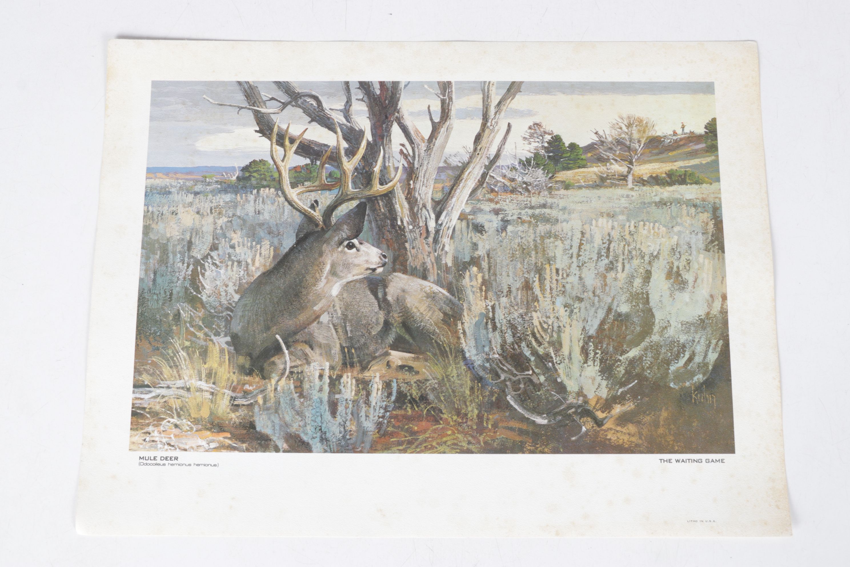 Bob Kuhn Offset Lithograph Collection "Remington's Portfolio of Big Game"
