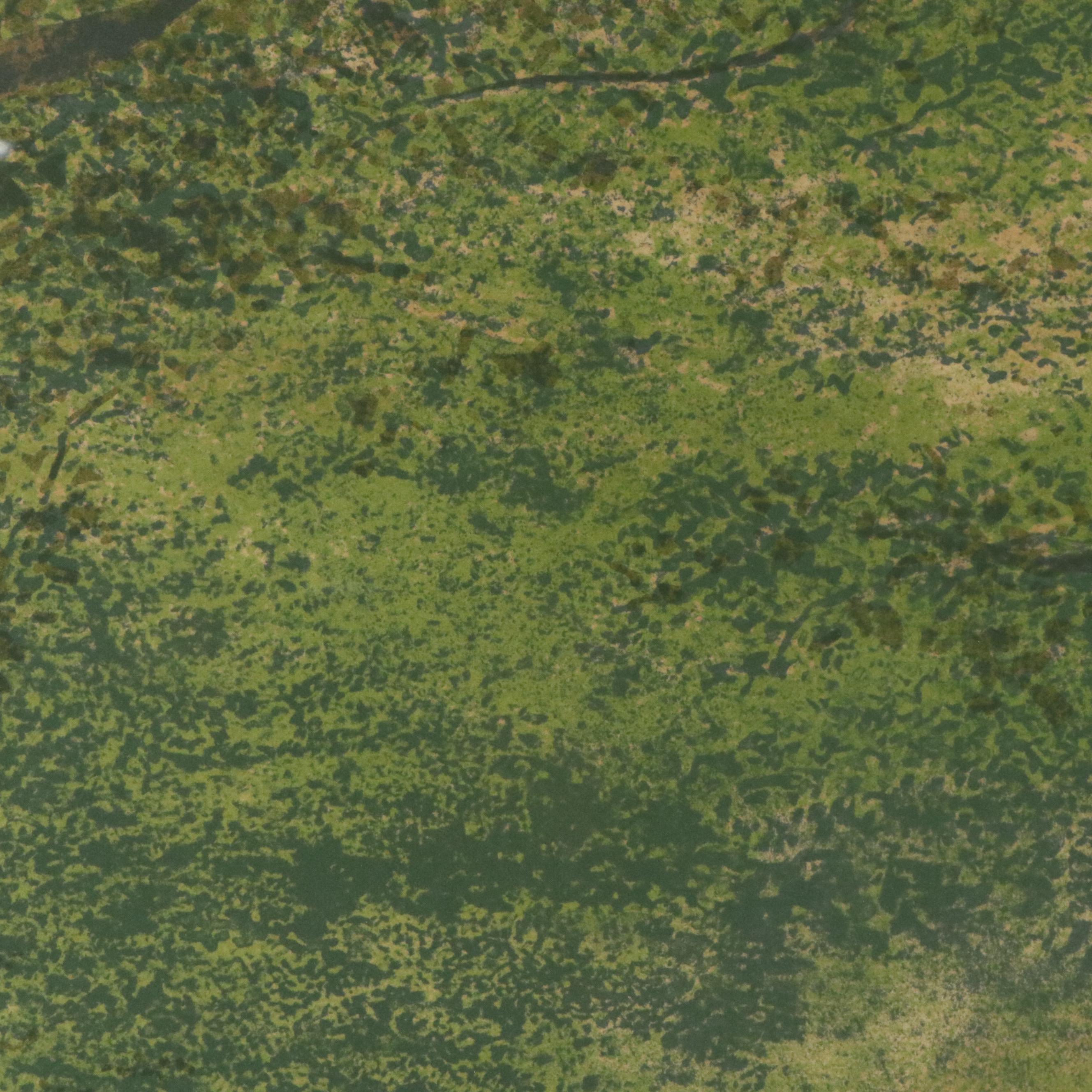 Harold Altman Color Lithograph "Two Trees," Mid to Late 20th Century