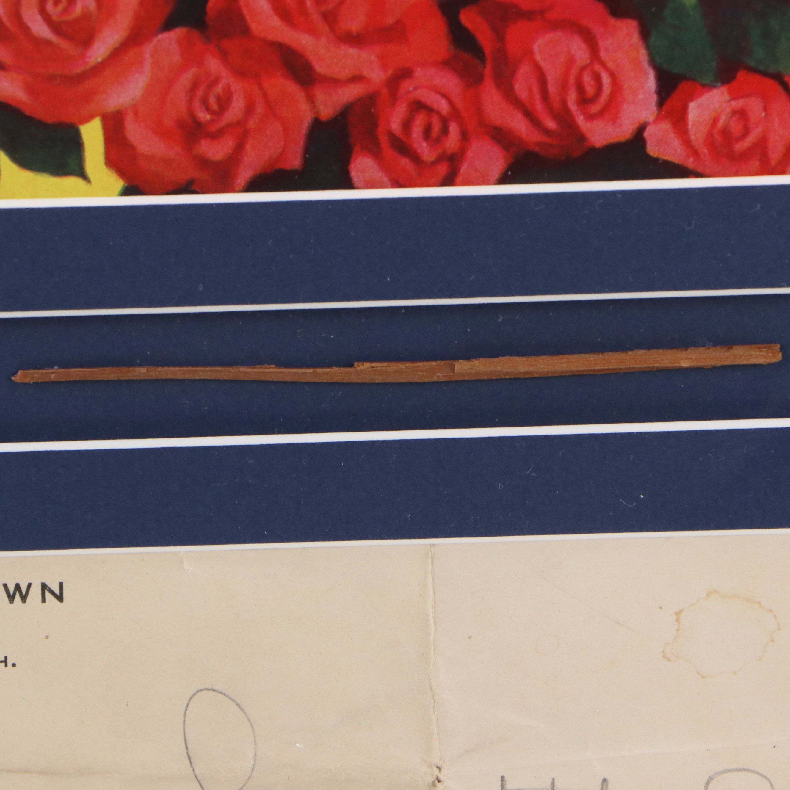 Pasadena Tournament of Roses Goal Post Piece and Offset Lithograph, 1948