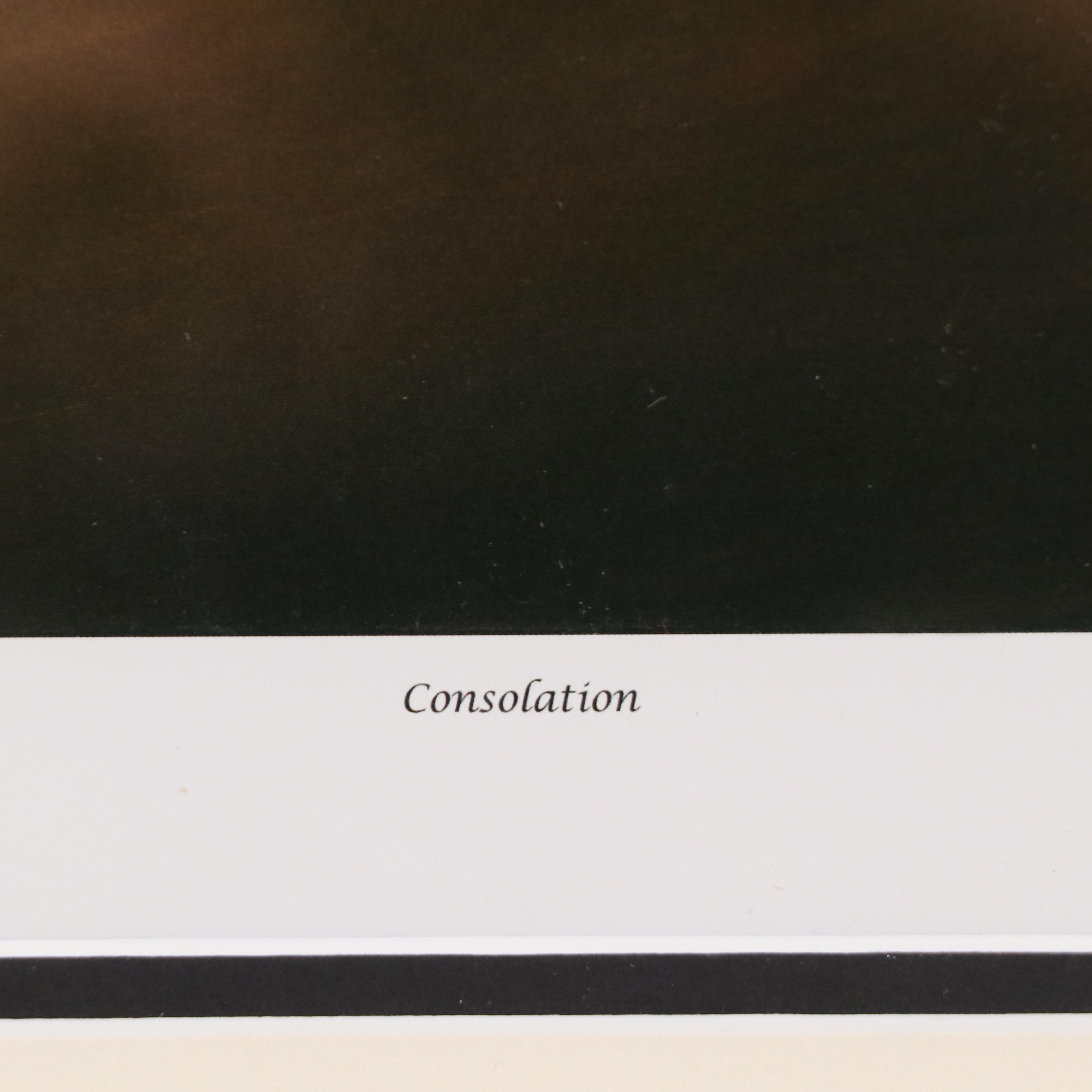 Steven Lavaggi Offset Lithograph "Consolation," 21st Century