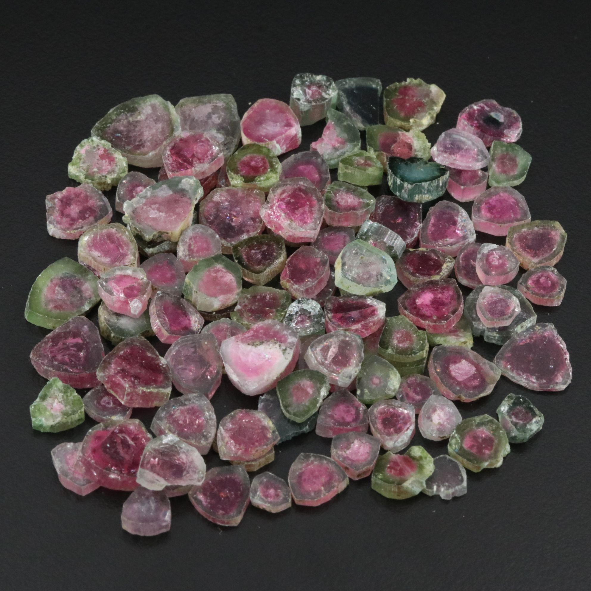 Loose 181.56 CTW Watermelon Tourmaline Slices