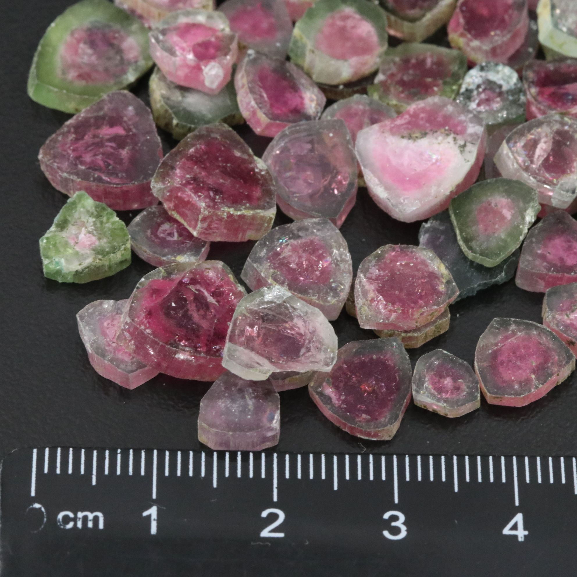 Loose 181.56 CTW Watermelon Tourmaline Slices