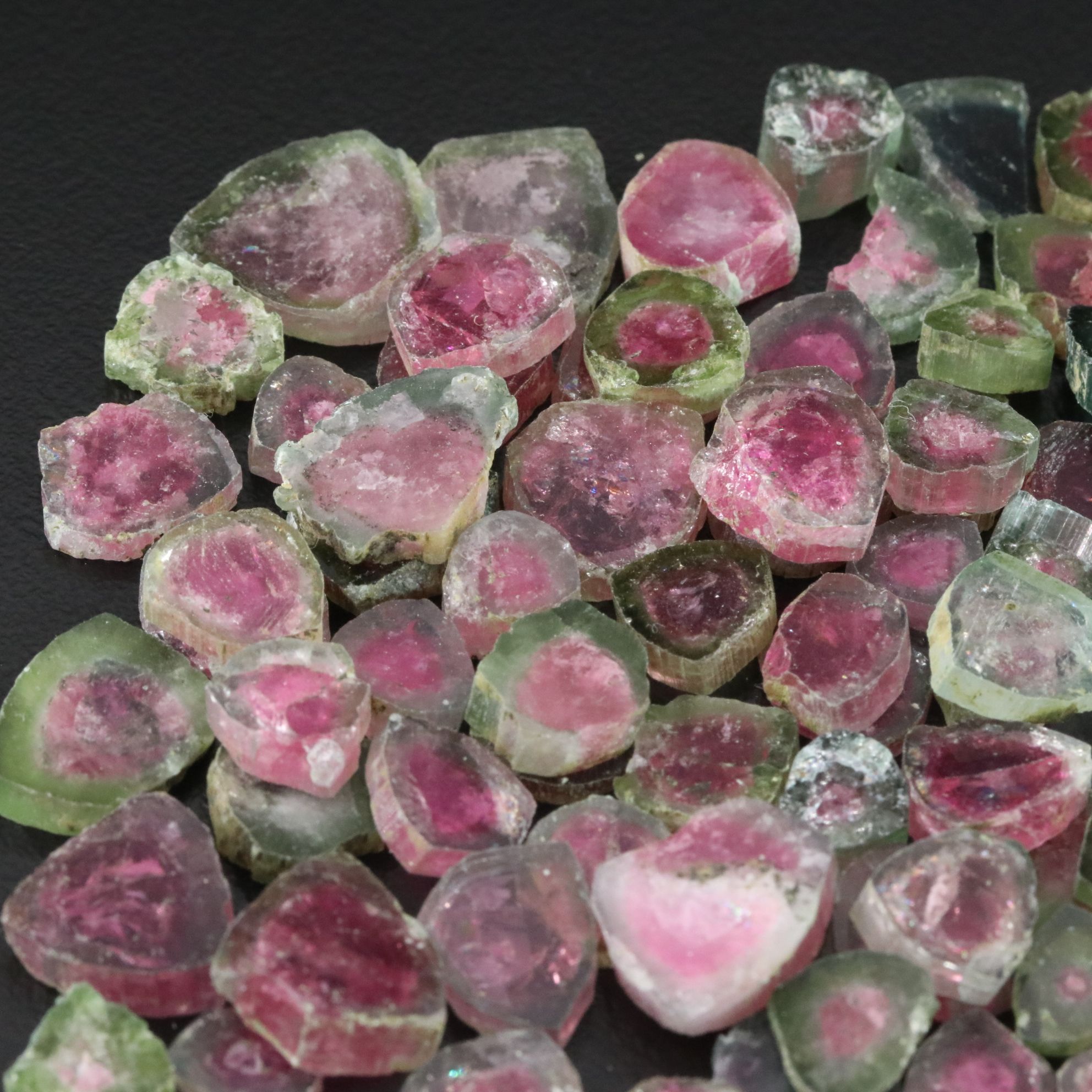 Loose 181.56 CTW Watermelon Tourmaline Slices